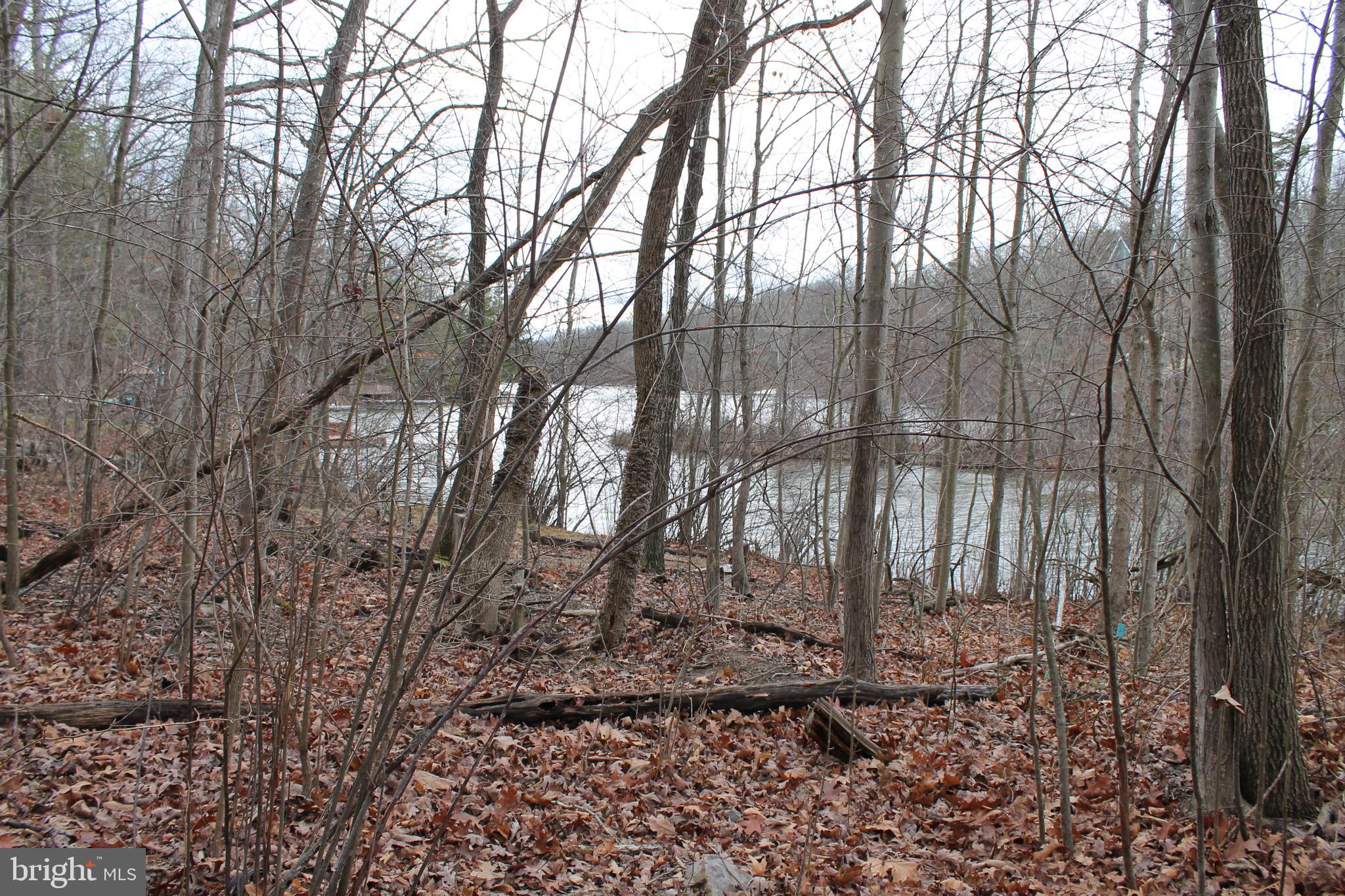 LAKE HOLIDAY ESTATES - Land