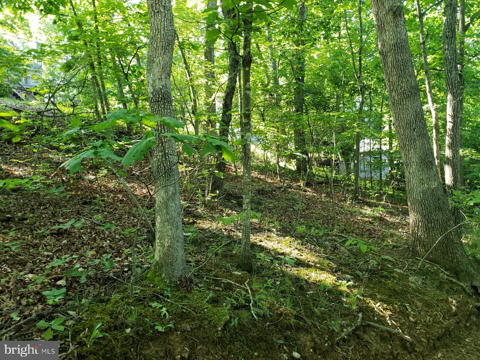 LAKE HOLIDAY ESTATES - Land