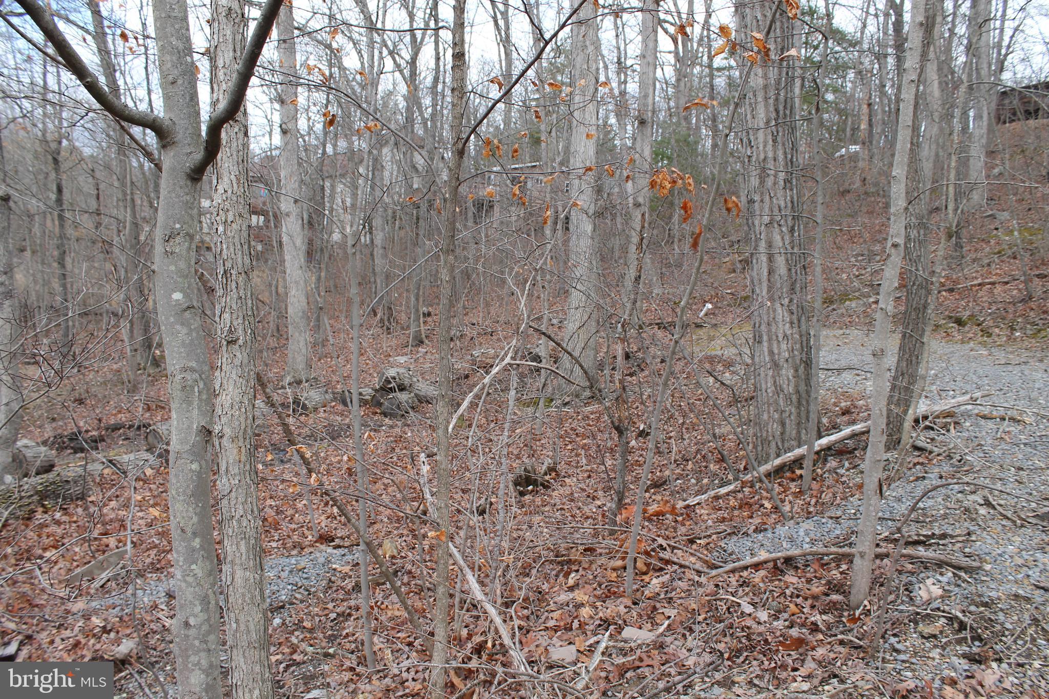 LAKE HOLIDAY ESTATES - Land