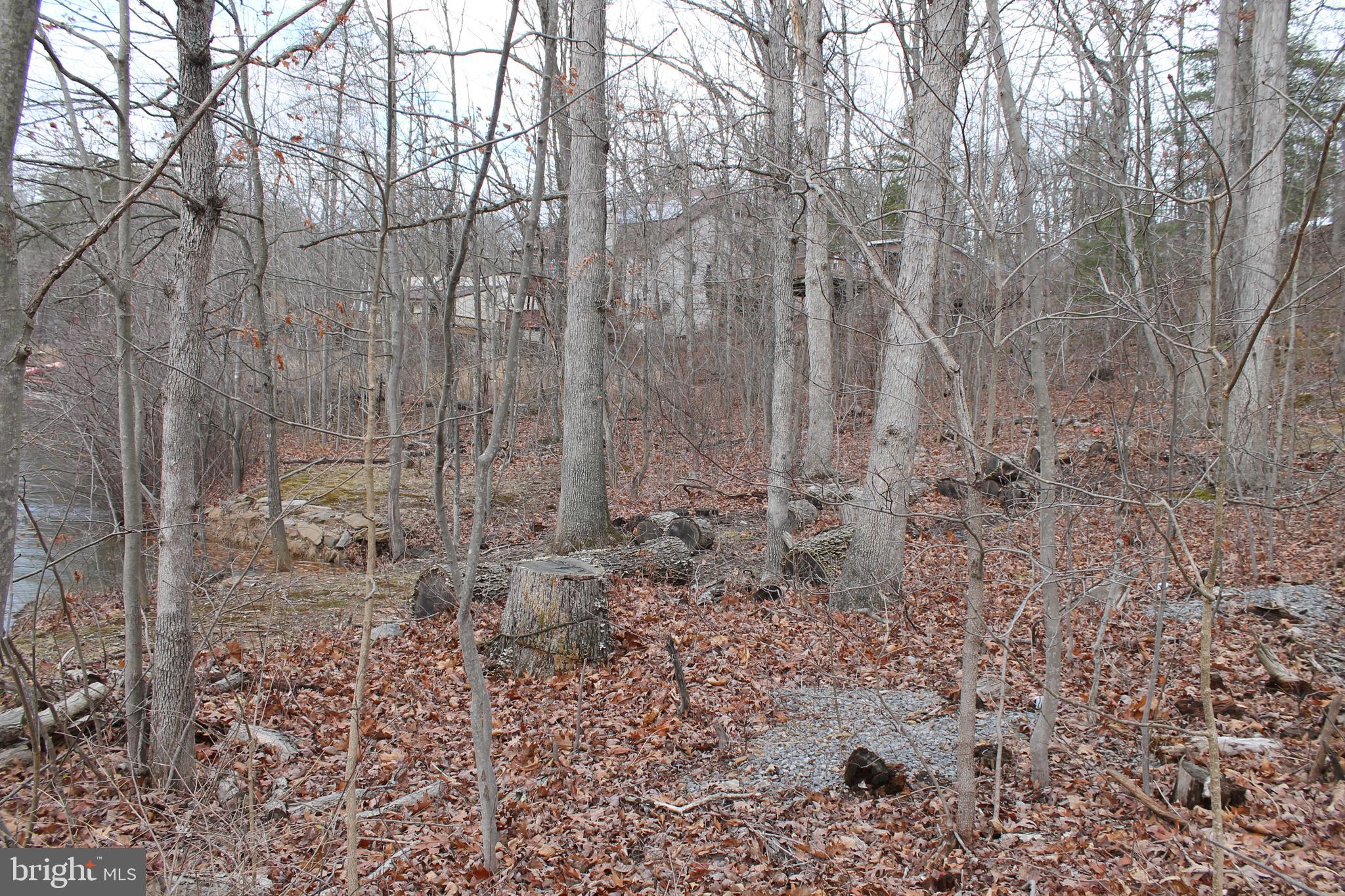 LAKE HOLIDAY ESTATES - Land