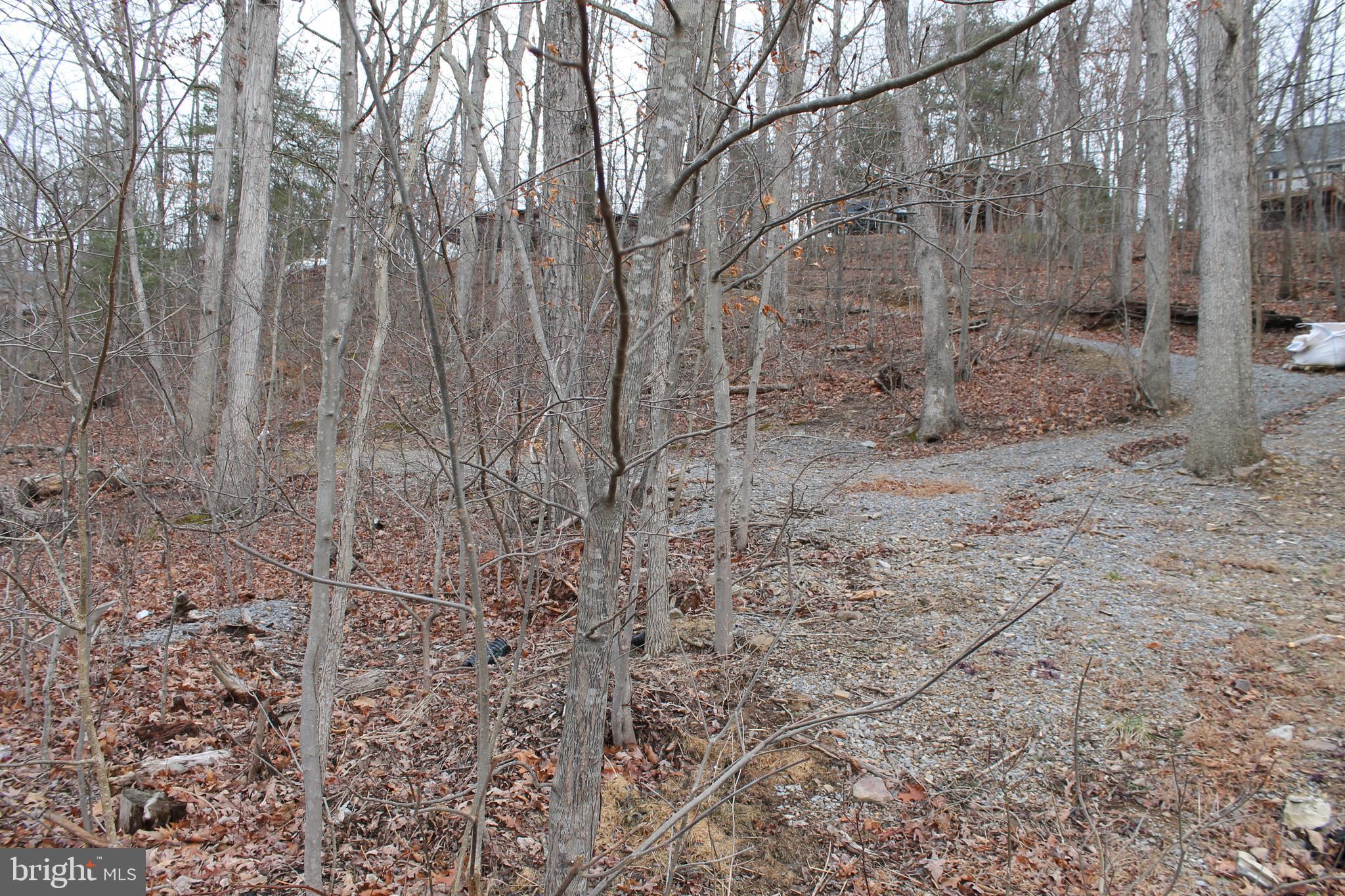 LAKE HOLIDAY ESTATES - Land