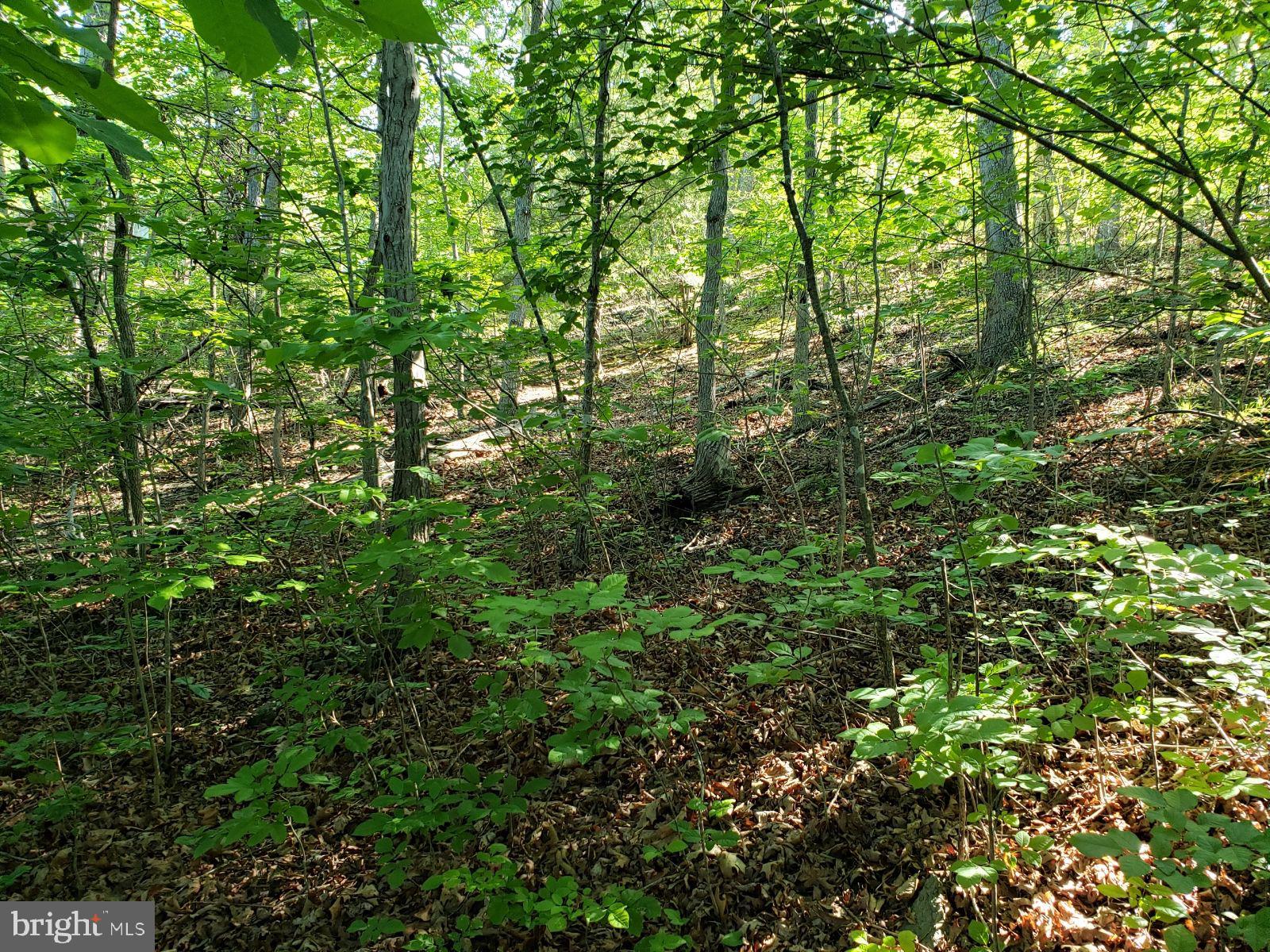 LAKE HOLIDAY ESTATES - Land