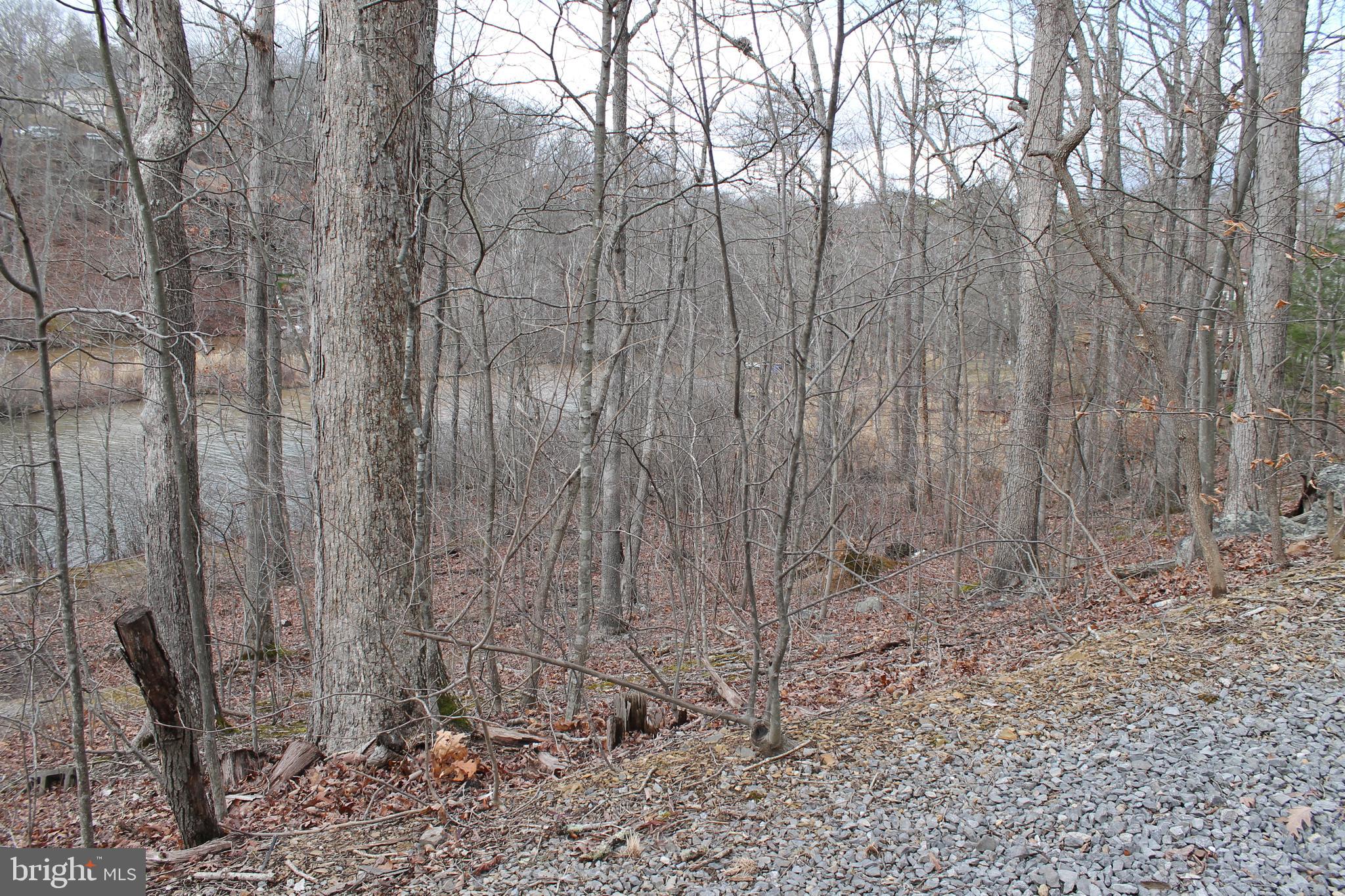 LAKE HOLIDAY ESTATES - Land