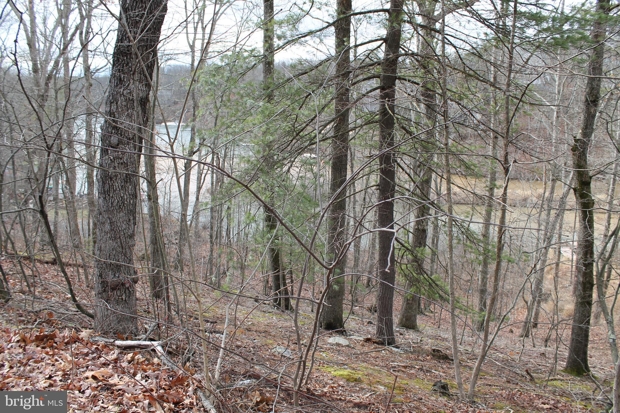 LAKE HOLIDAY ESTATES - Land