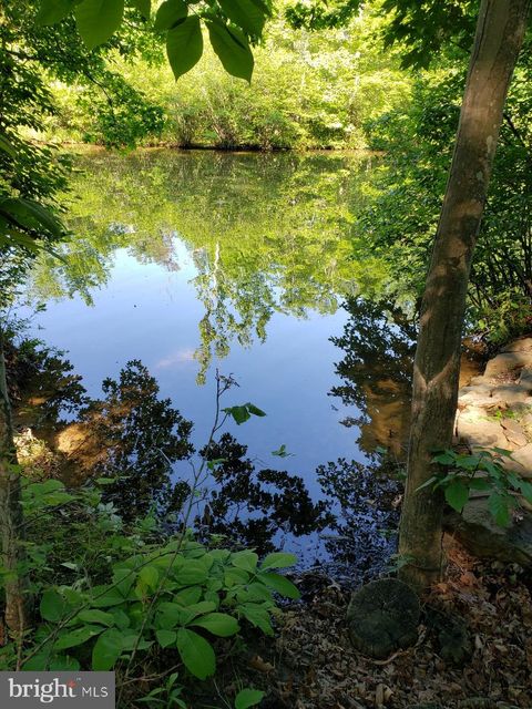 Vacant Land For Sale - Lakeview<br/> CROSS JUNCTION, VA 22625