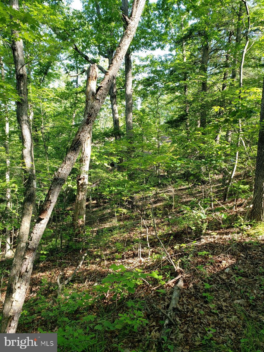 LAKE HOLIDAY ESTATES - Land