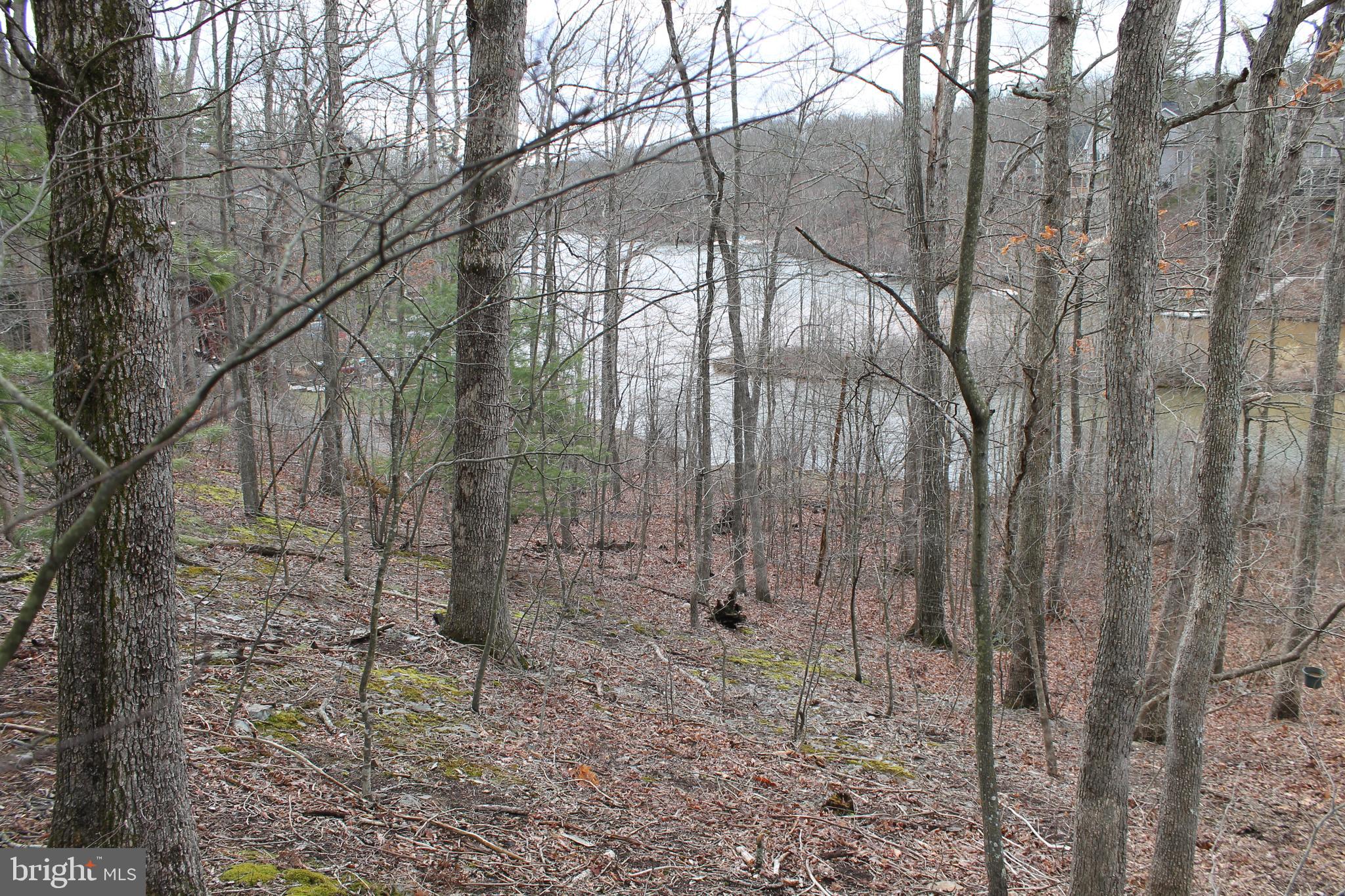 LAKE HOLIDAY ESTATES - Land