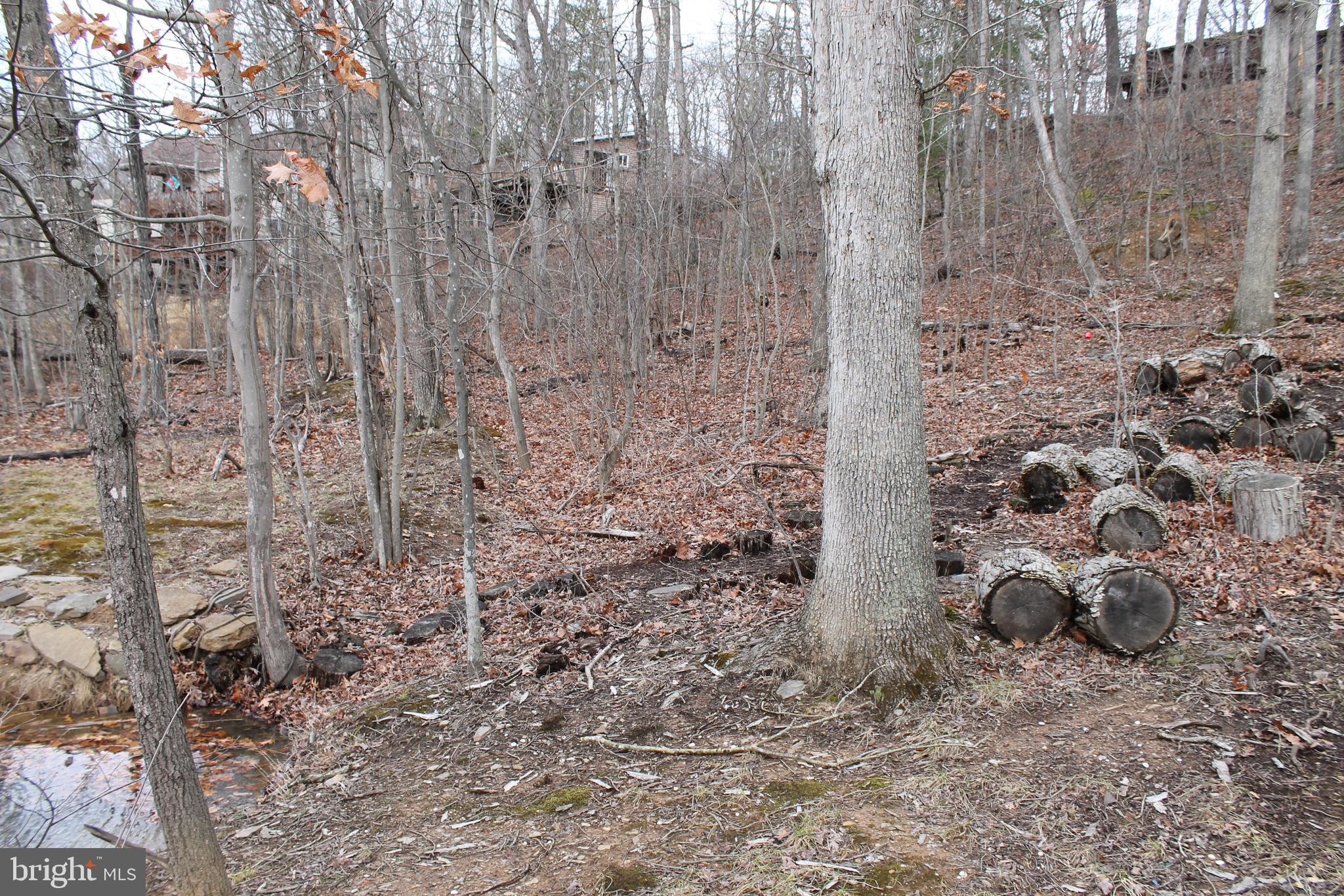 LAKE HOLIDAY ESTATES - Land