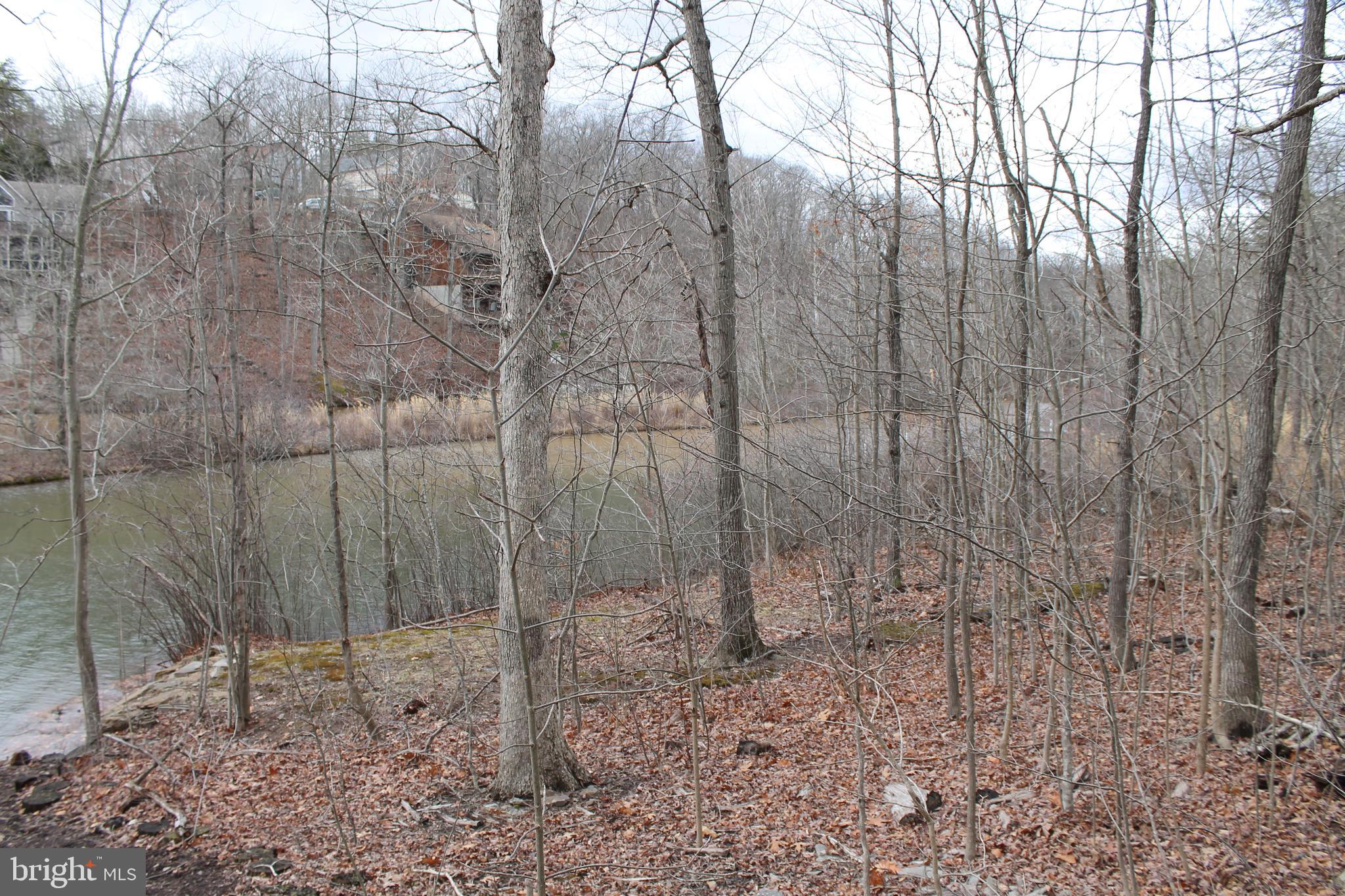 LAKE HOLIDAY ESTATES - Land