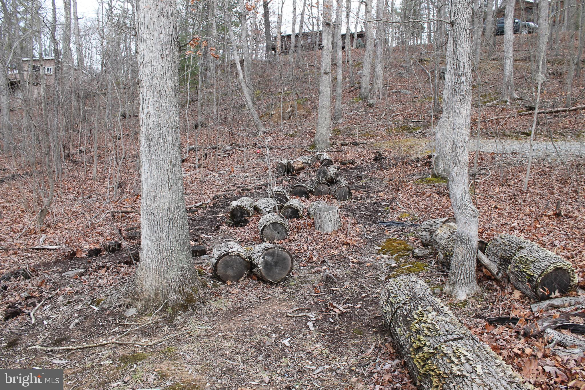 LAKE HOLIDAY ESTATES - Land