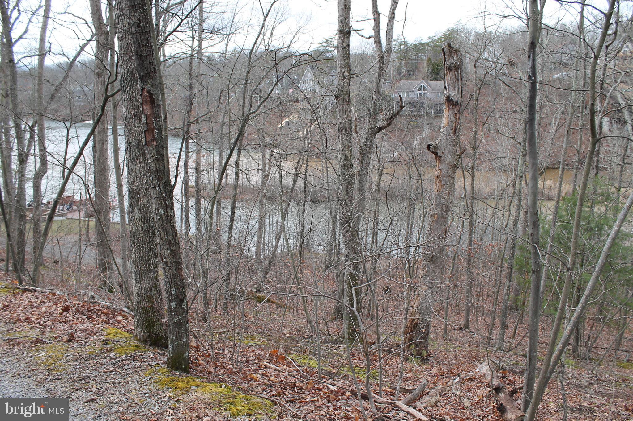 LAKE HOLIDAY ESTATES - Land