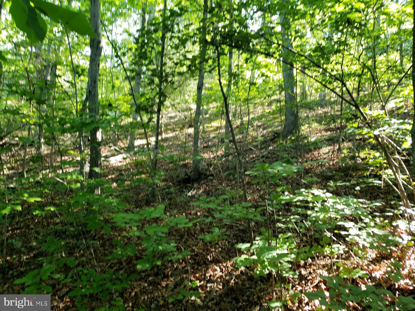 LAKE HOLIDAY ESTATES - Land