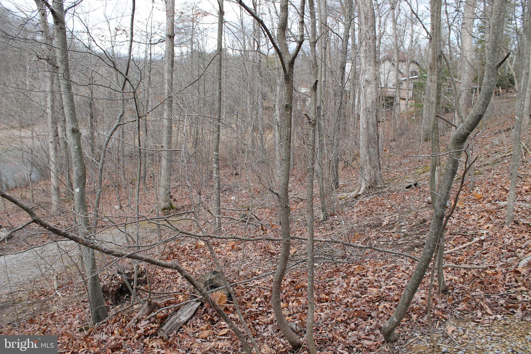 LAKE HOLIDAY ESTATES - Land