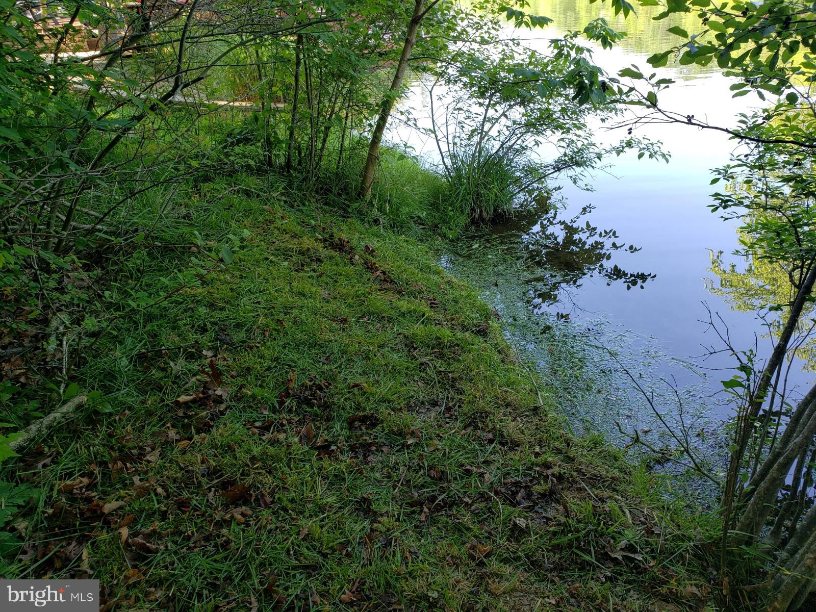 LAKE HOLIDAY ESTATES - Land