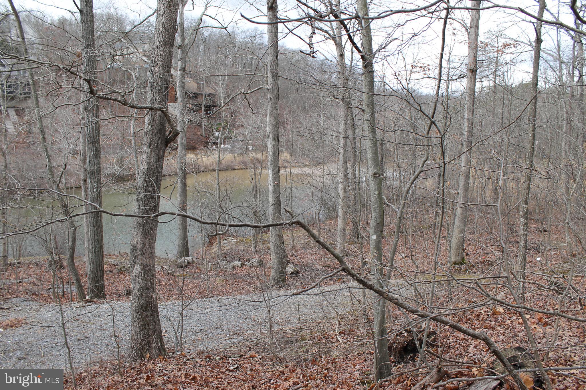 LAKE HOLIDAY ESTATES - Land