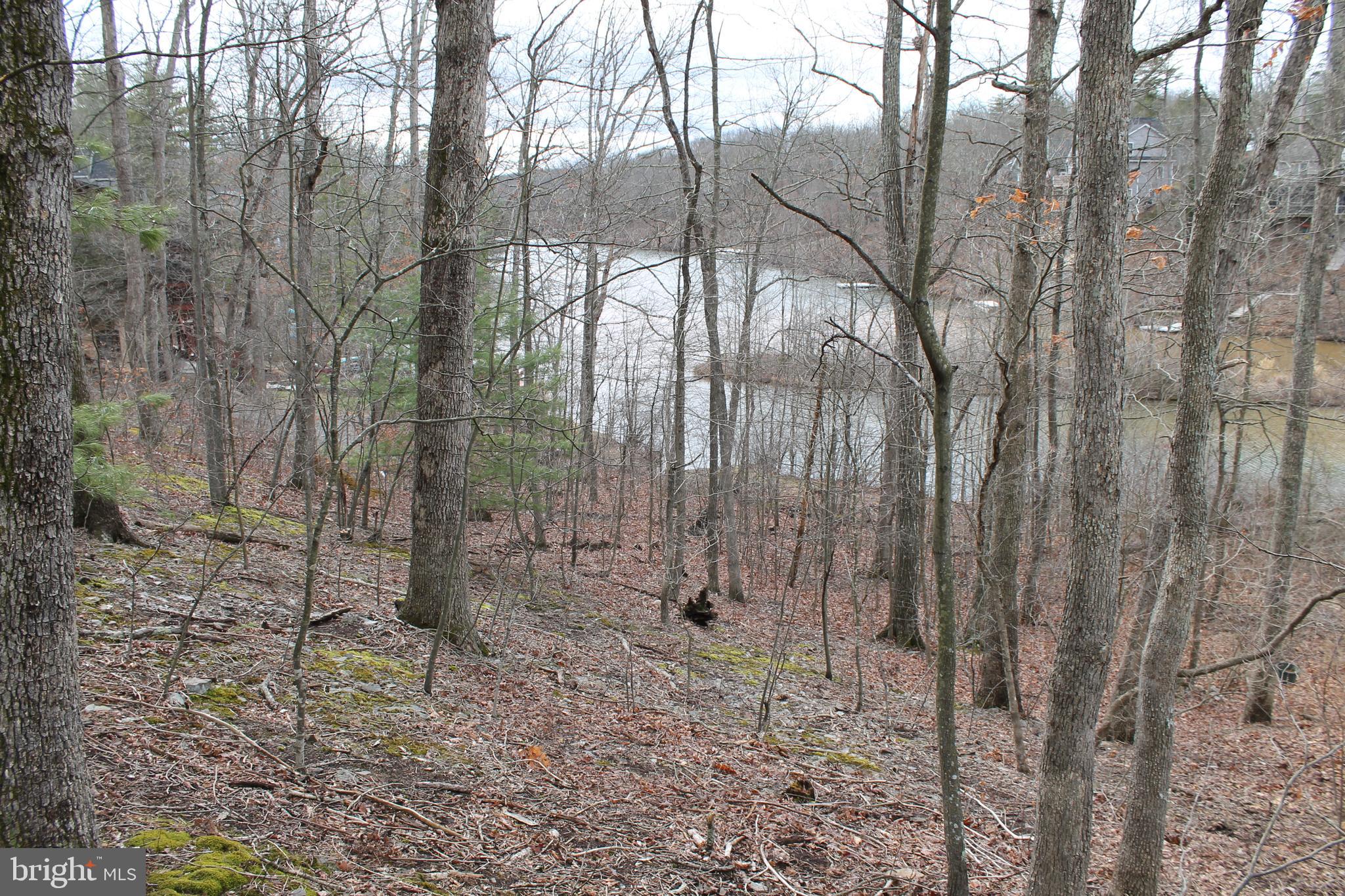 LAKE HOLIDAY ESTATES - Land