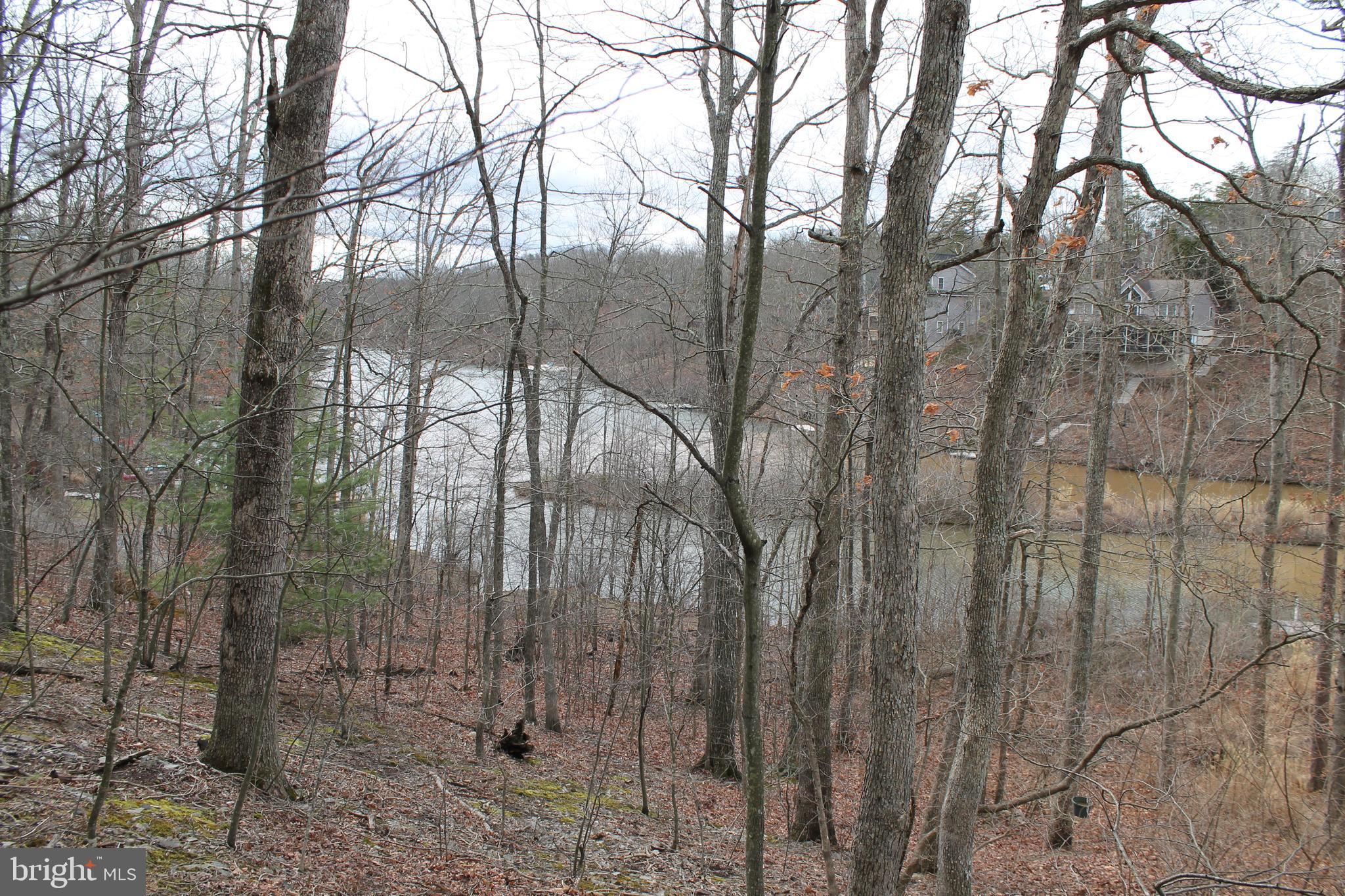 LAKE HOLIDAY ESTATES - Land