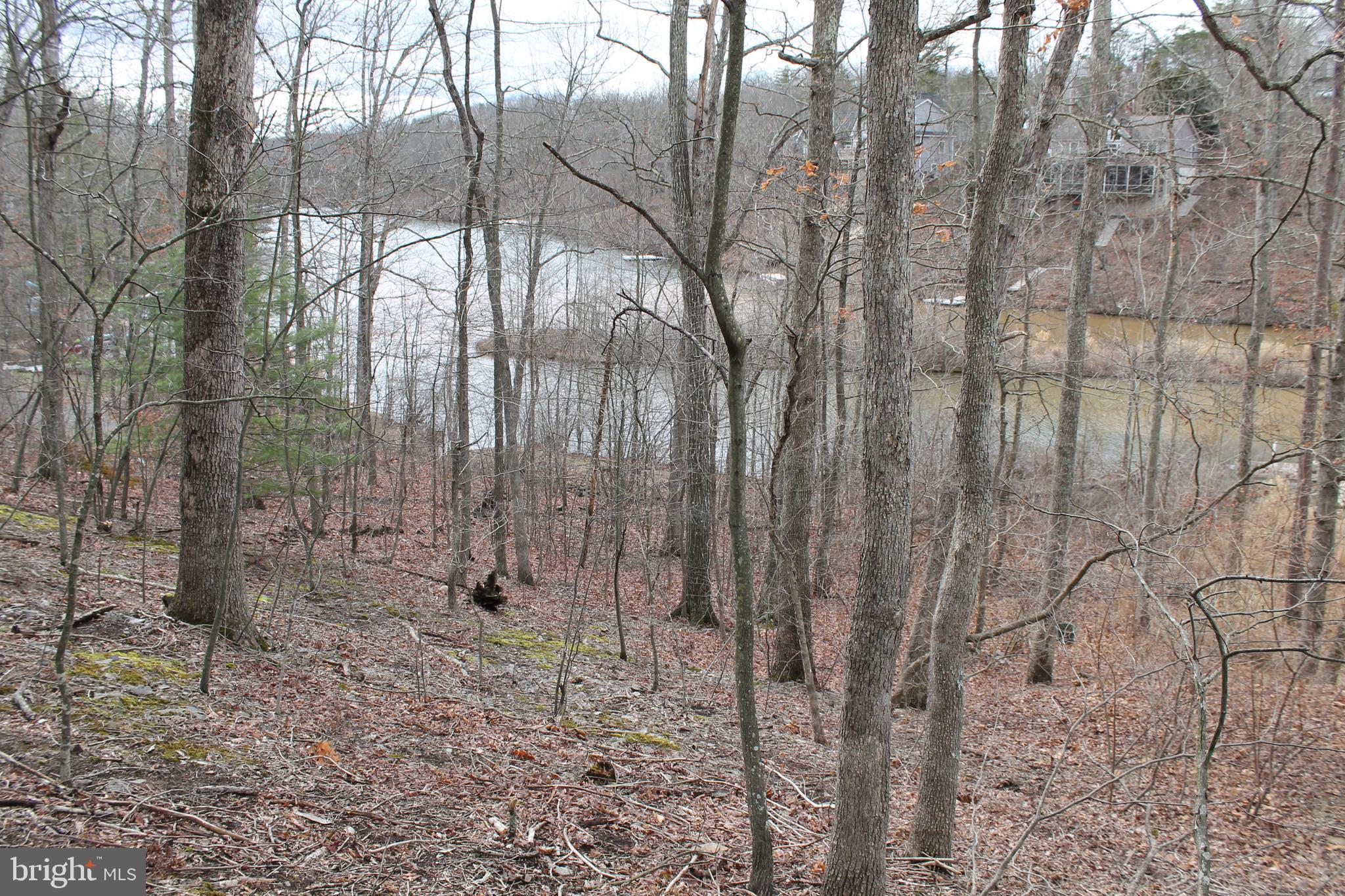 LAKE HOLIDAY ESTATES - Land