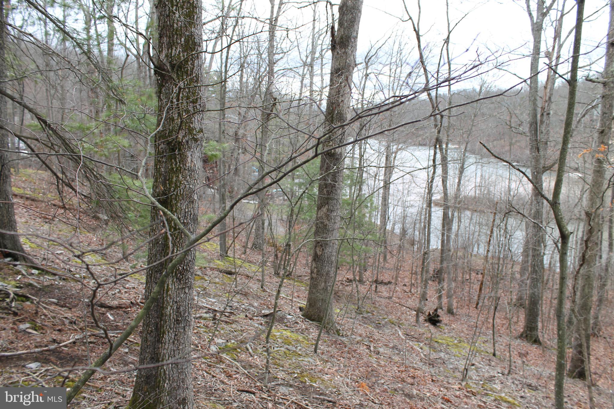 LAKE HOLIDAY ESTATES - Land