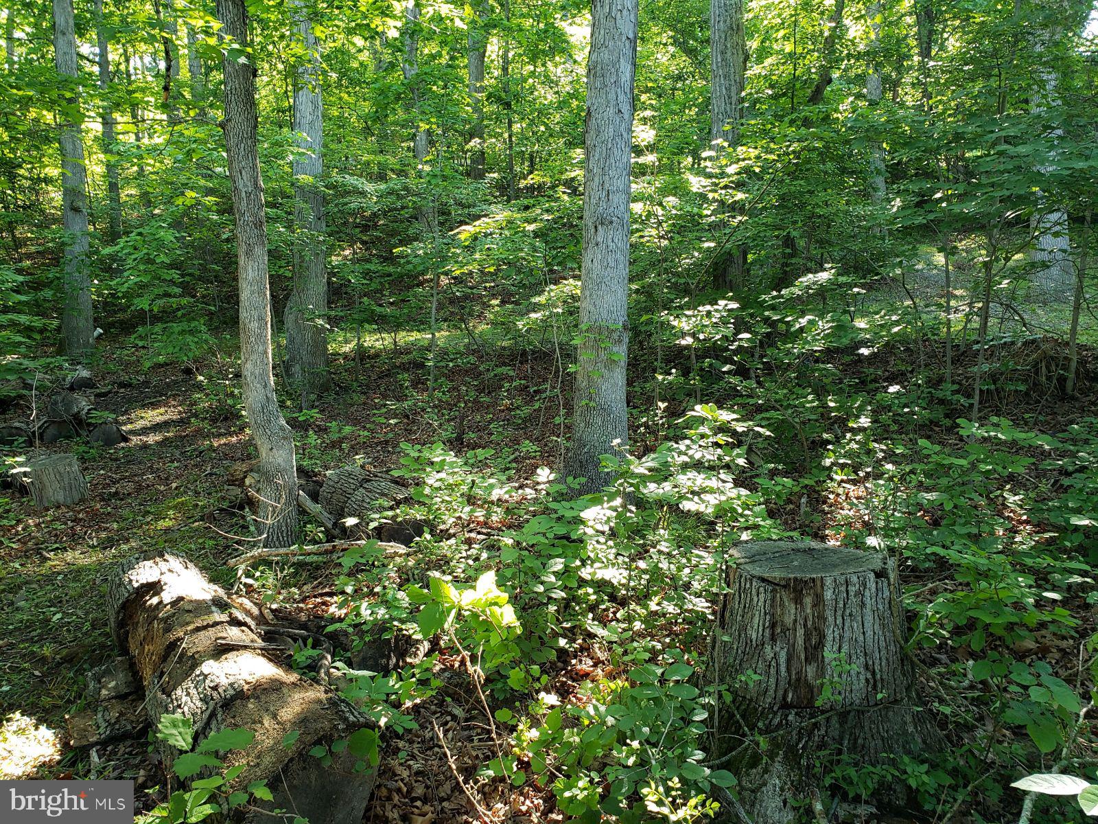 LAKE HOLIDAY ESTATES - Land