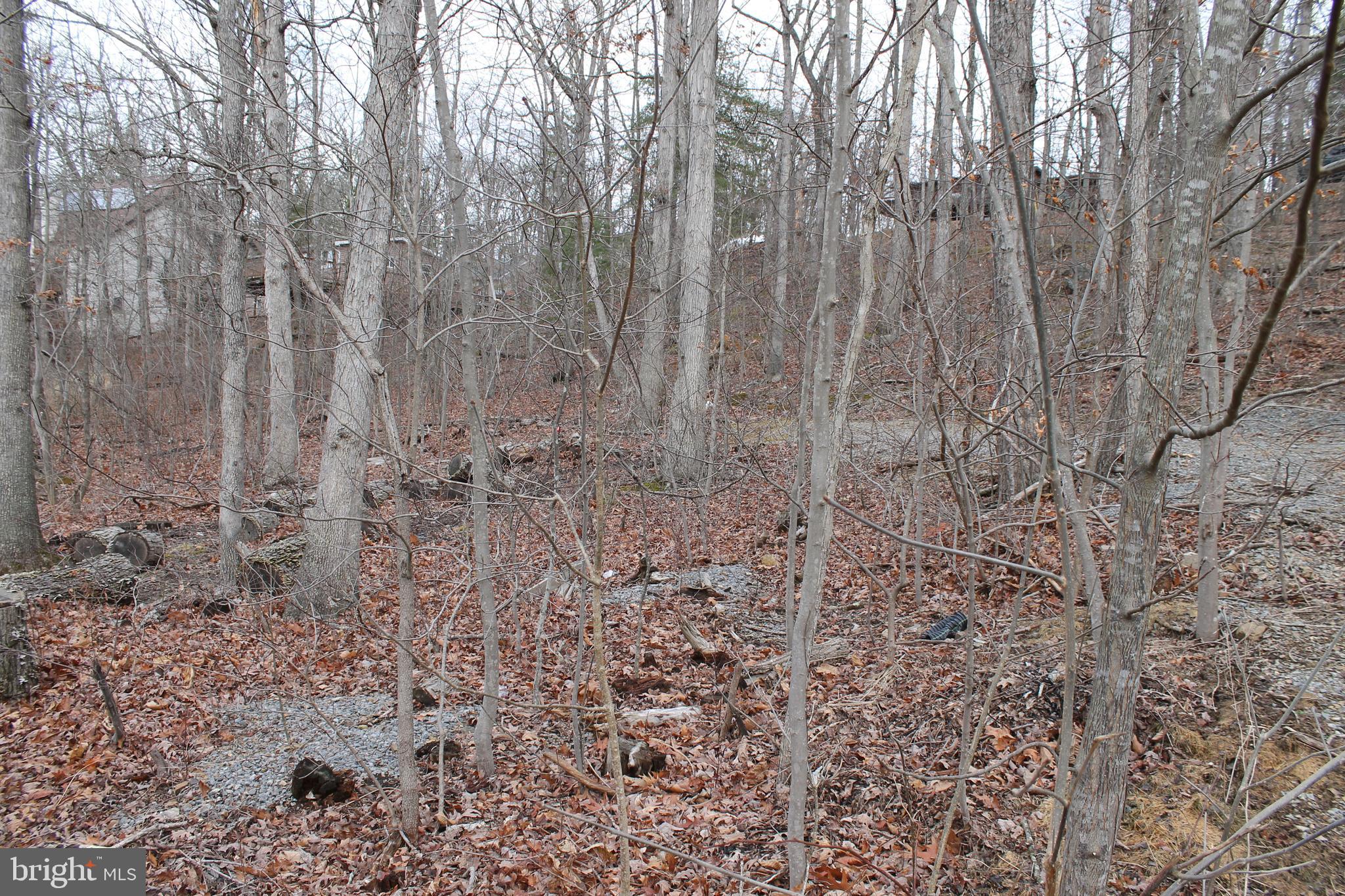 LAKE HOLIDAY ESTATES - Land