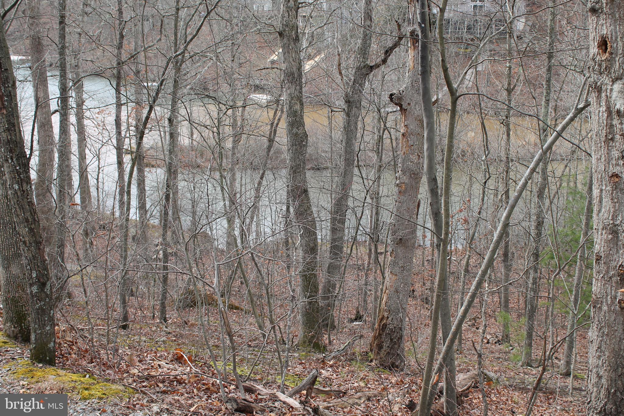 LAKE HOLIDAY ESTATES - Land