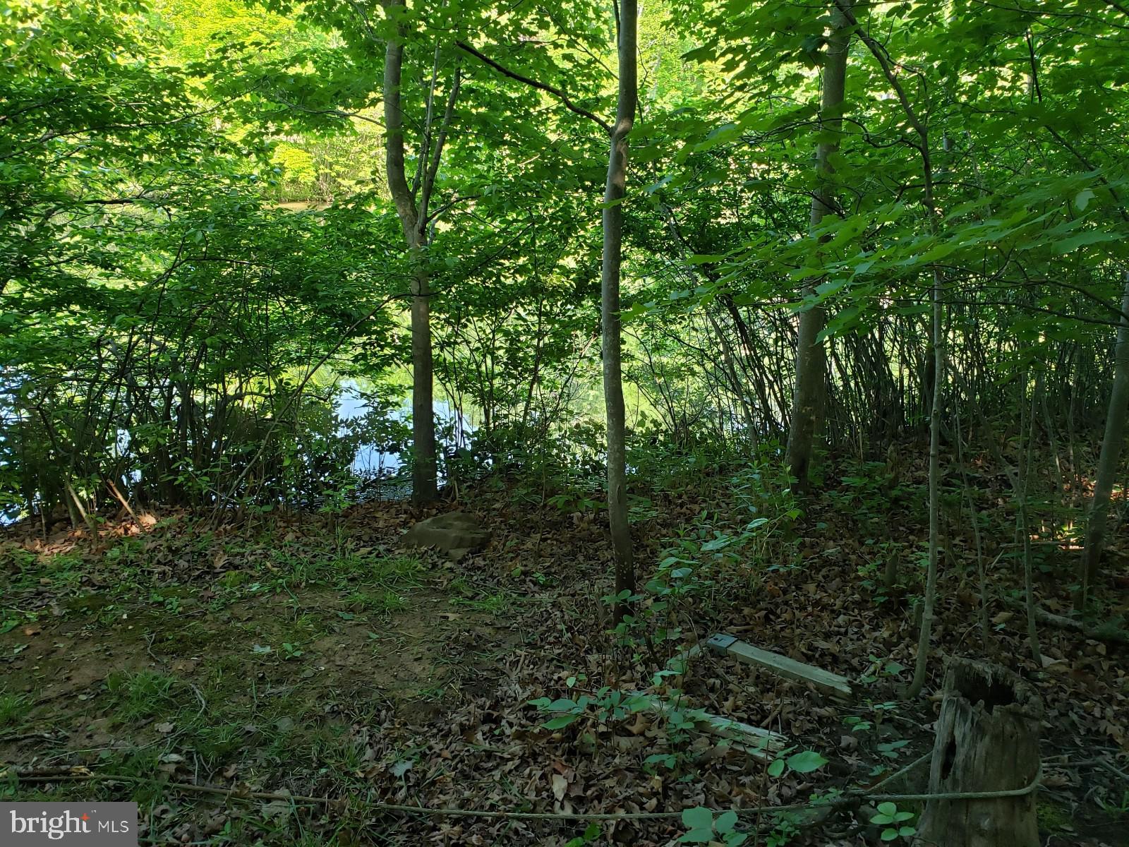 LAKE HOLIDAY ESTATES - Land