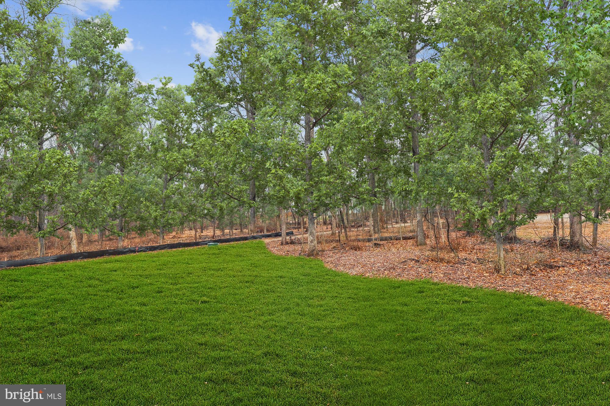 WARNER - Residential