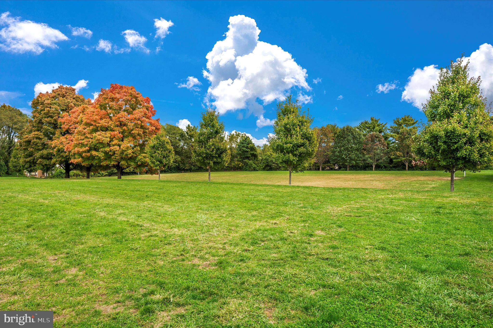 TIMBERLAWN - Residential