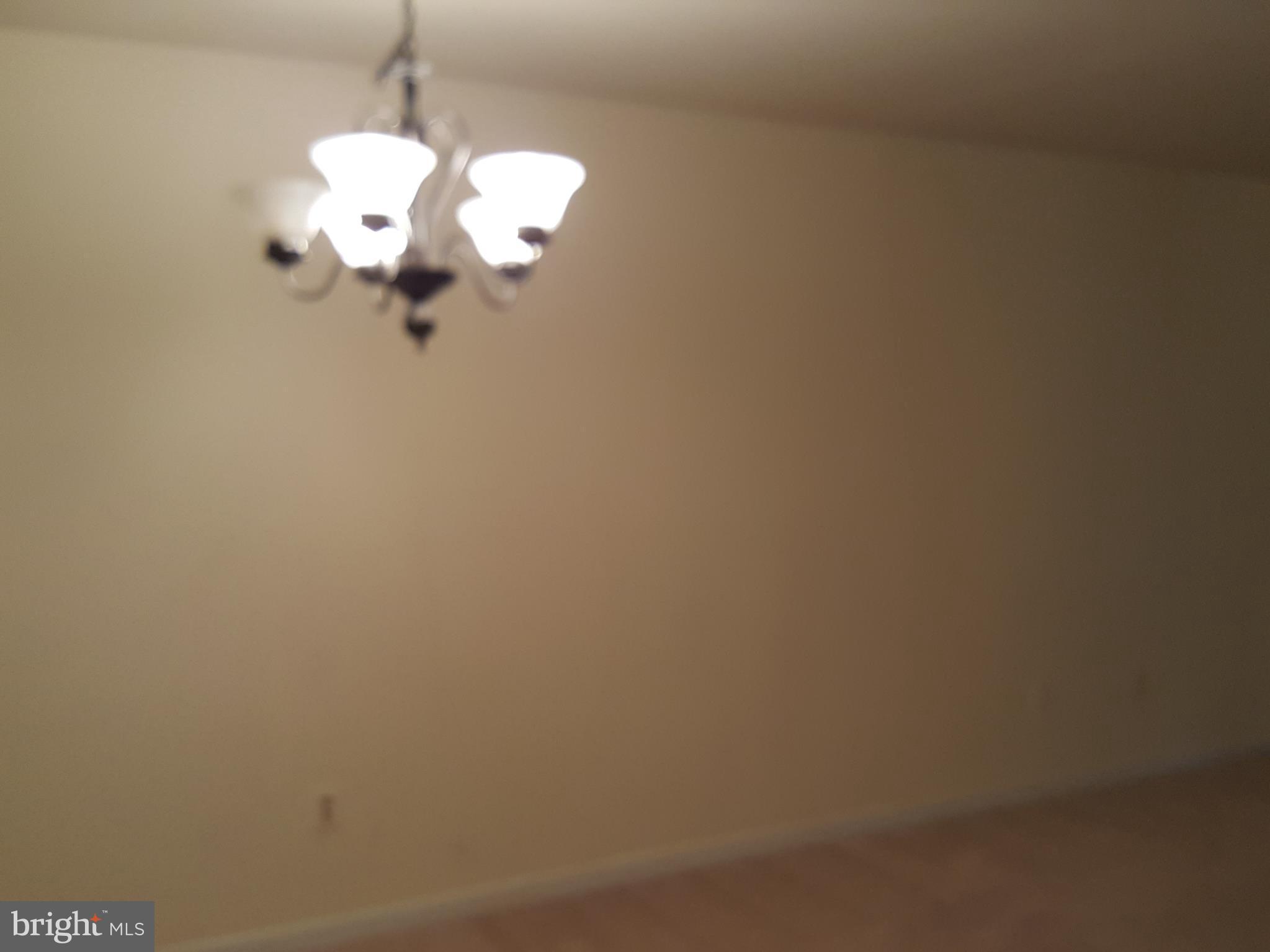 PARADISE - Residential Lease