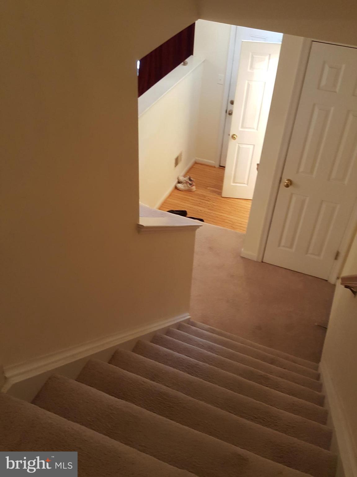 PARADISE - Residential Lease