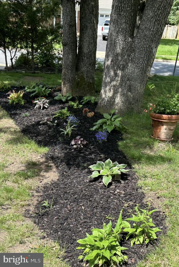 CARDINAL FOREST - Residential