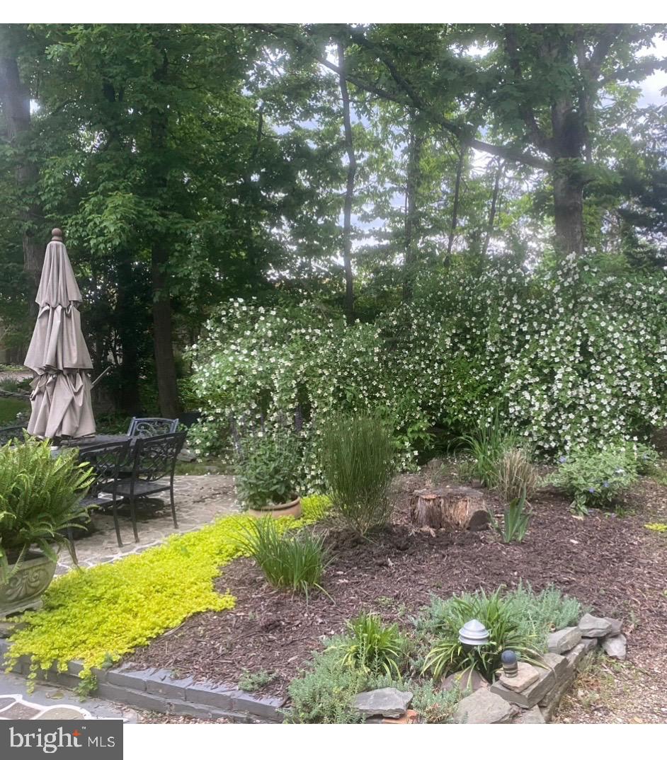 CARDINAL FOREST - Residential