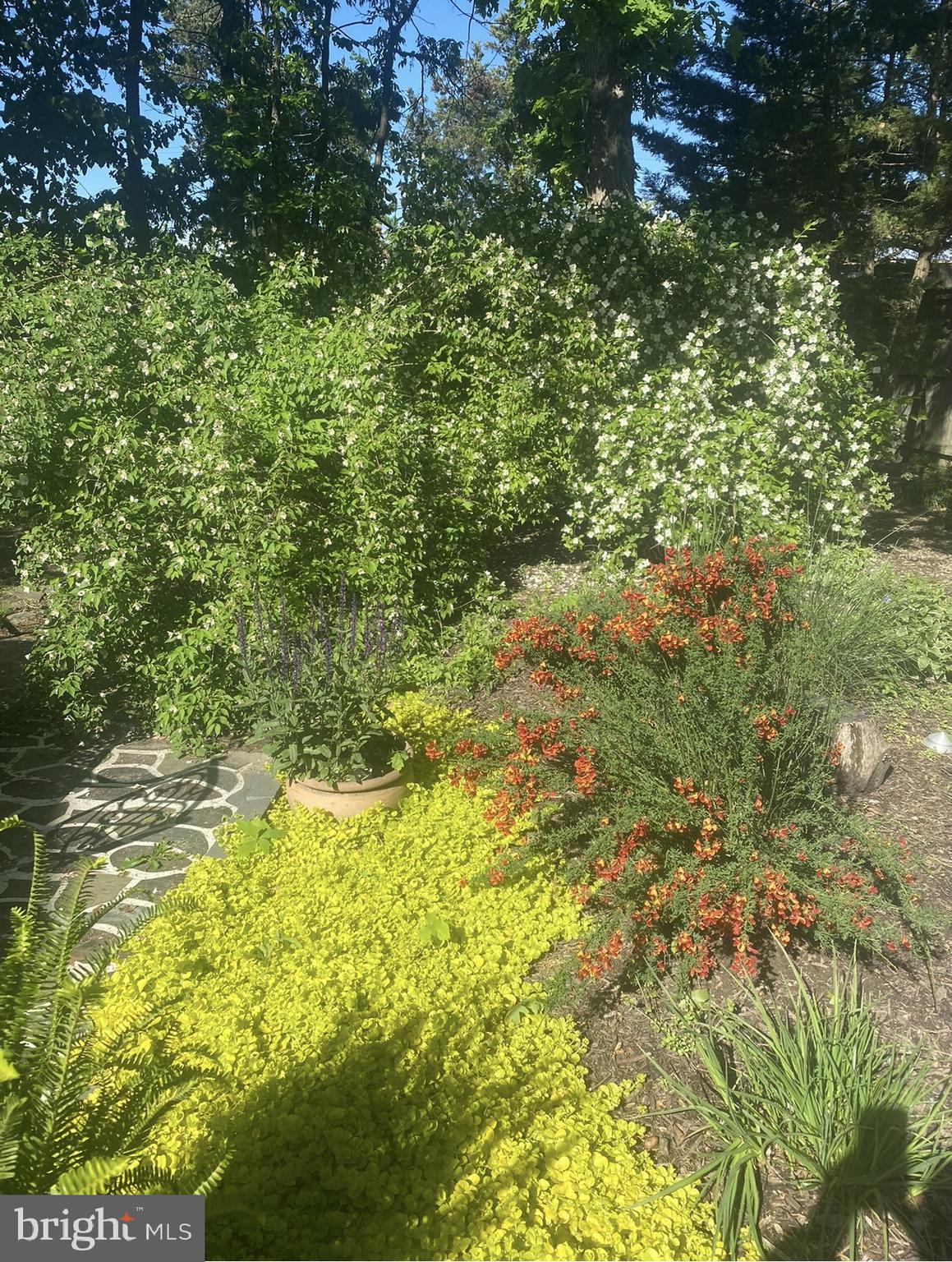 CARDINAL FOREST - Residential