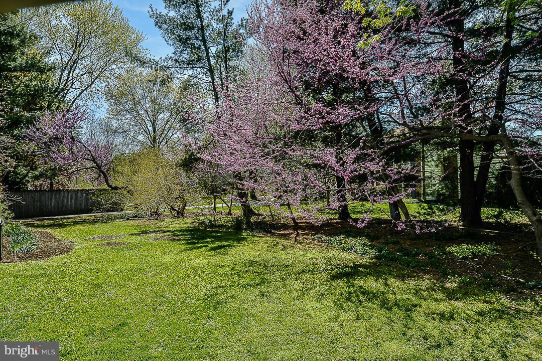 FOX MILL ESTATES - Farm