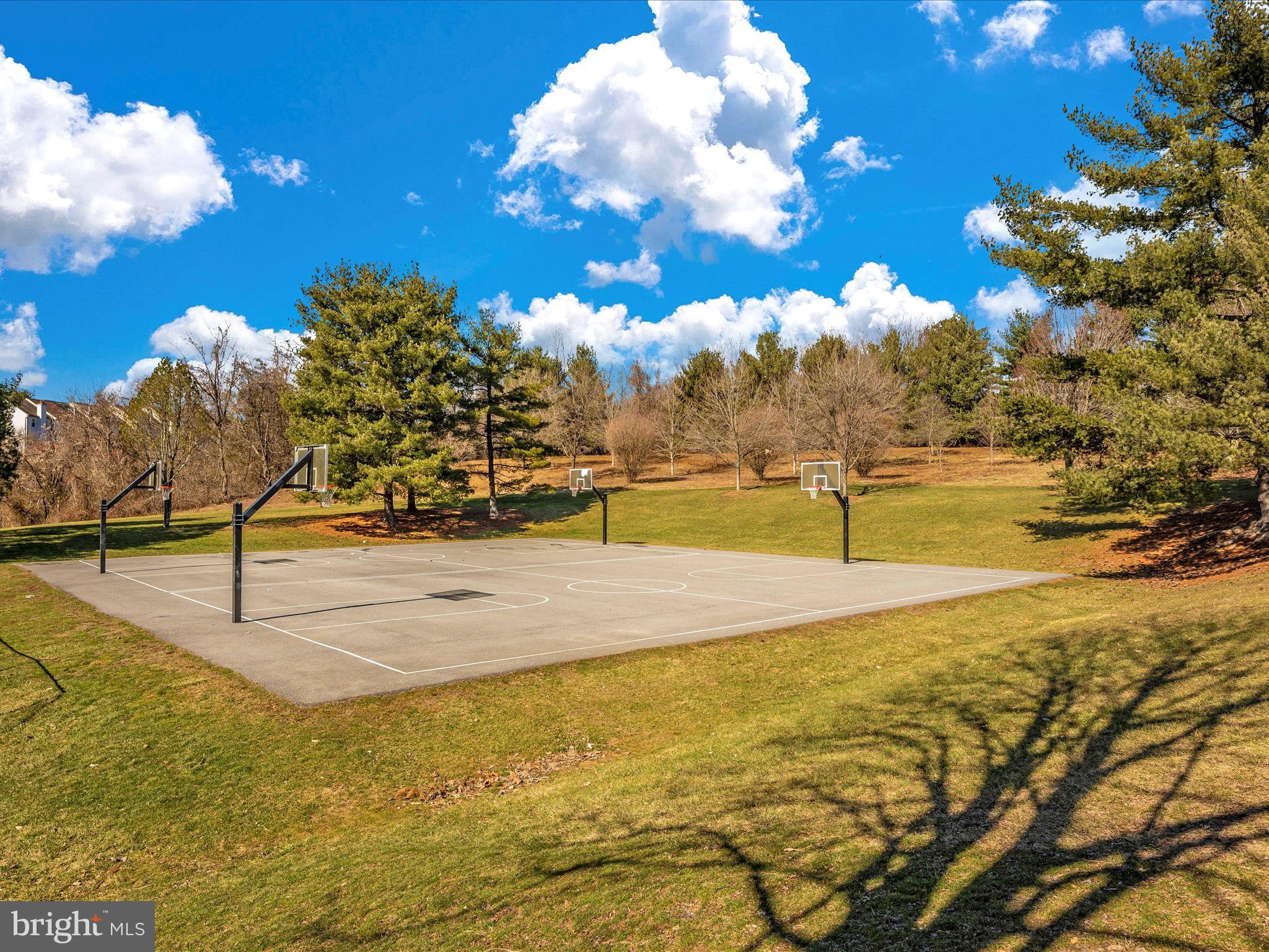 BLUNT COMMONS - Residential