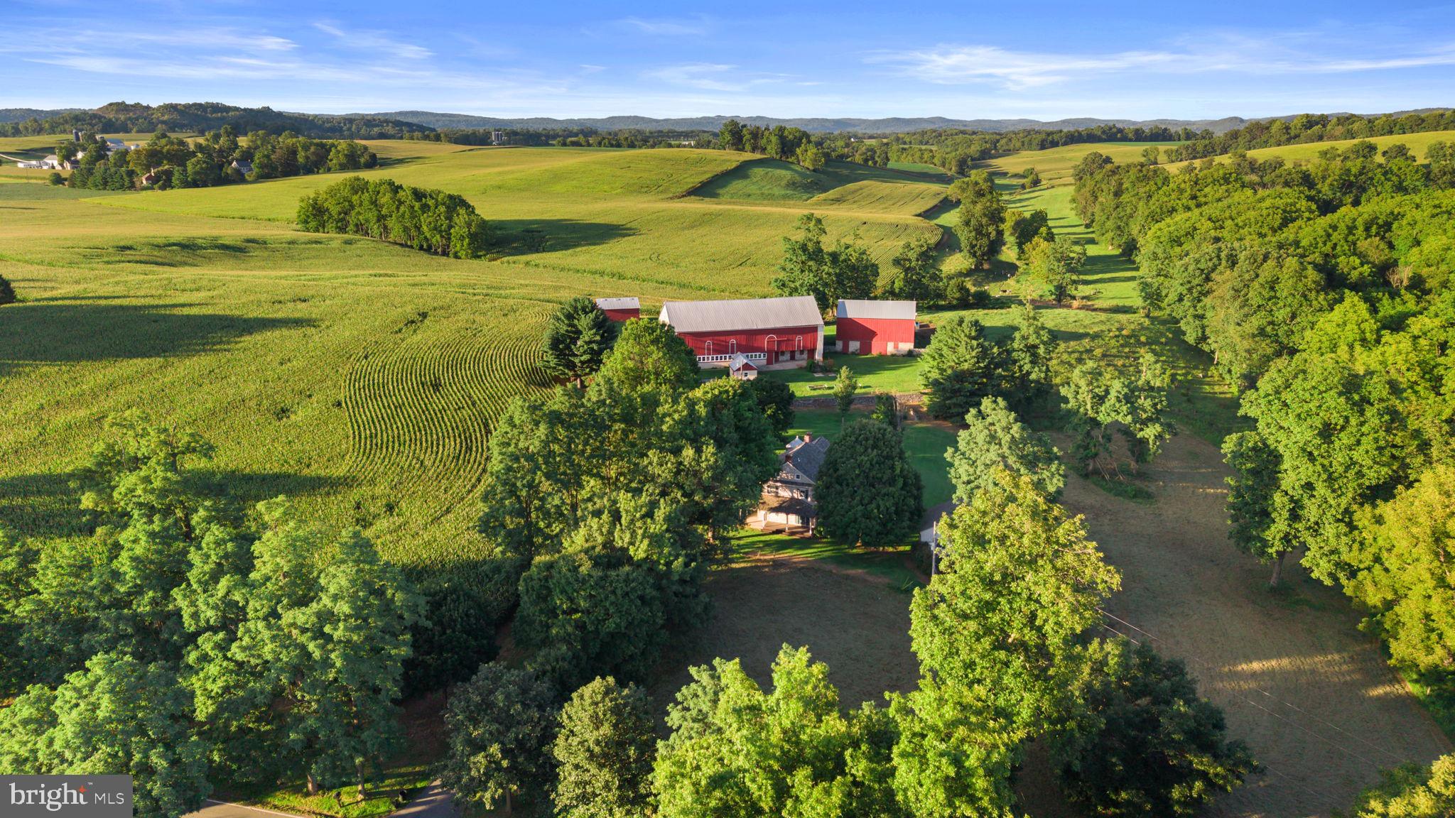 1335 LIMEKILN ROAD
