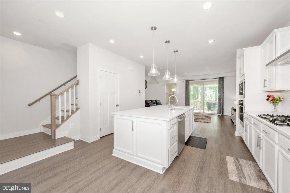 LAKE LINGANORE TOWN CENTER - Residential