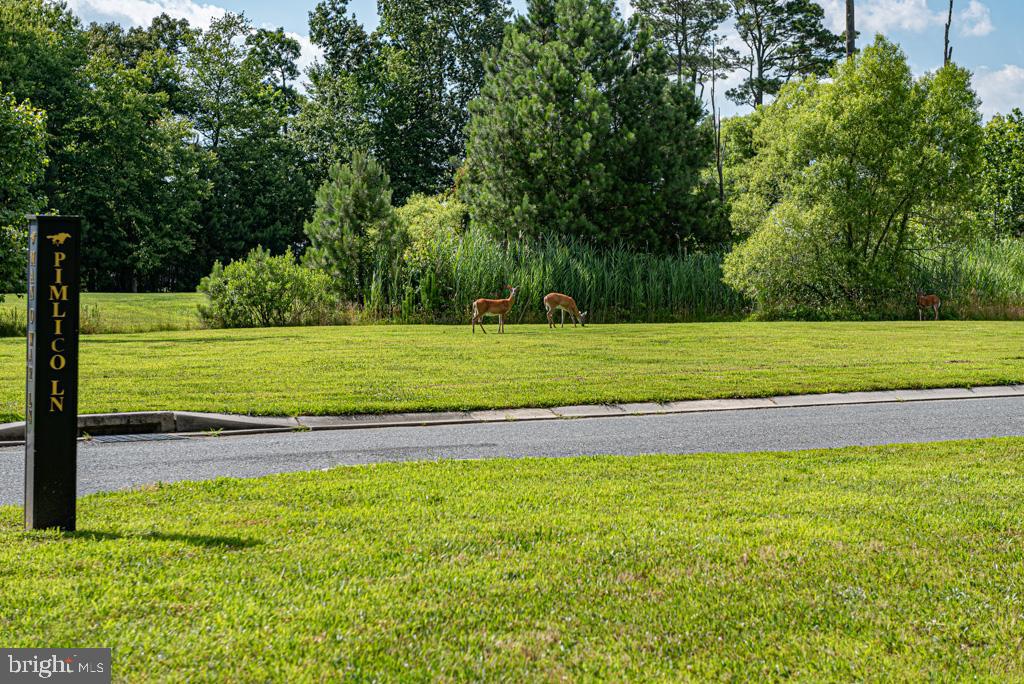 GLEN RIDDLE - Residential