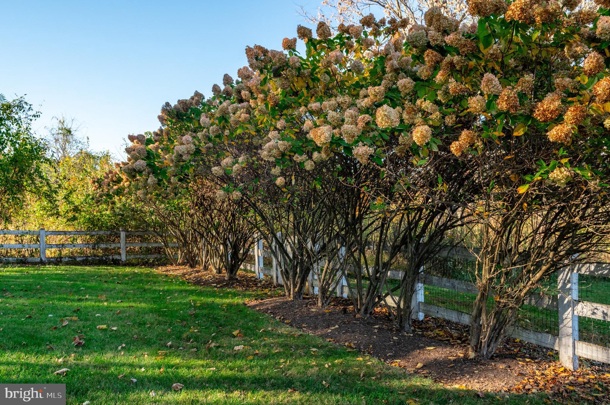 POTOMAC - Residential