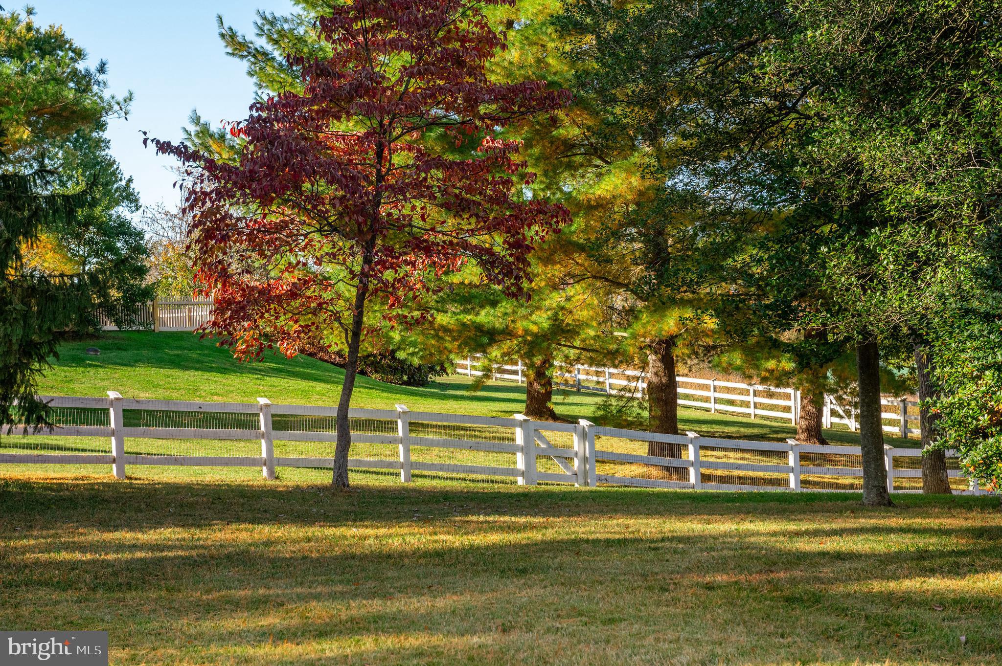 POTOMAC - Residential