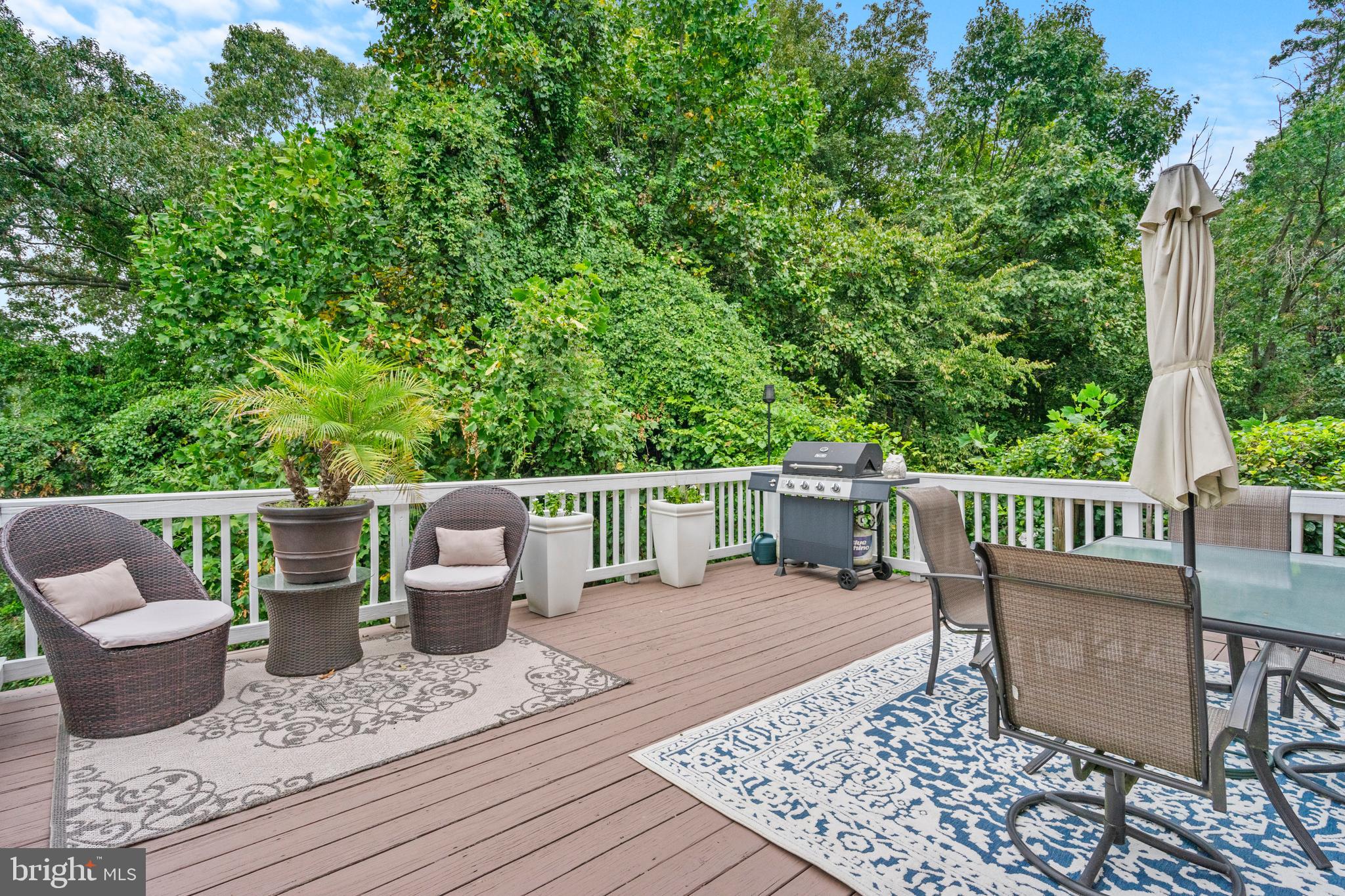 1249 BIRCHCREST COURT