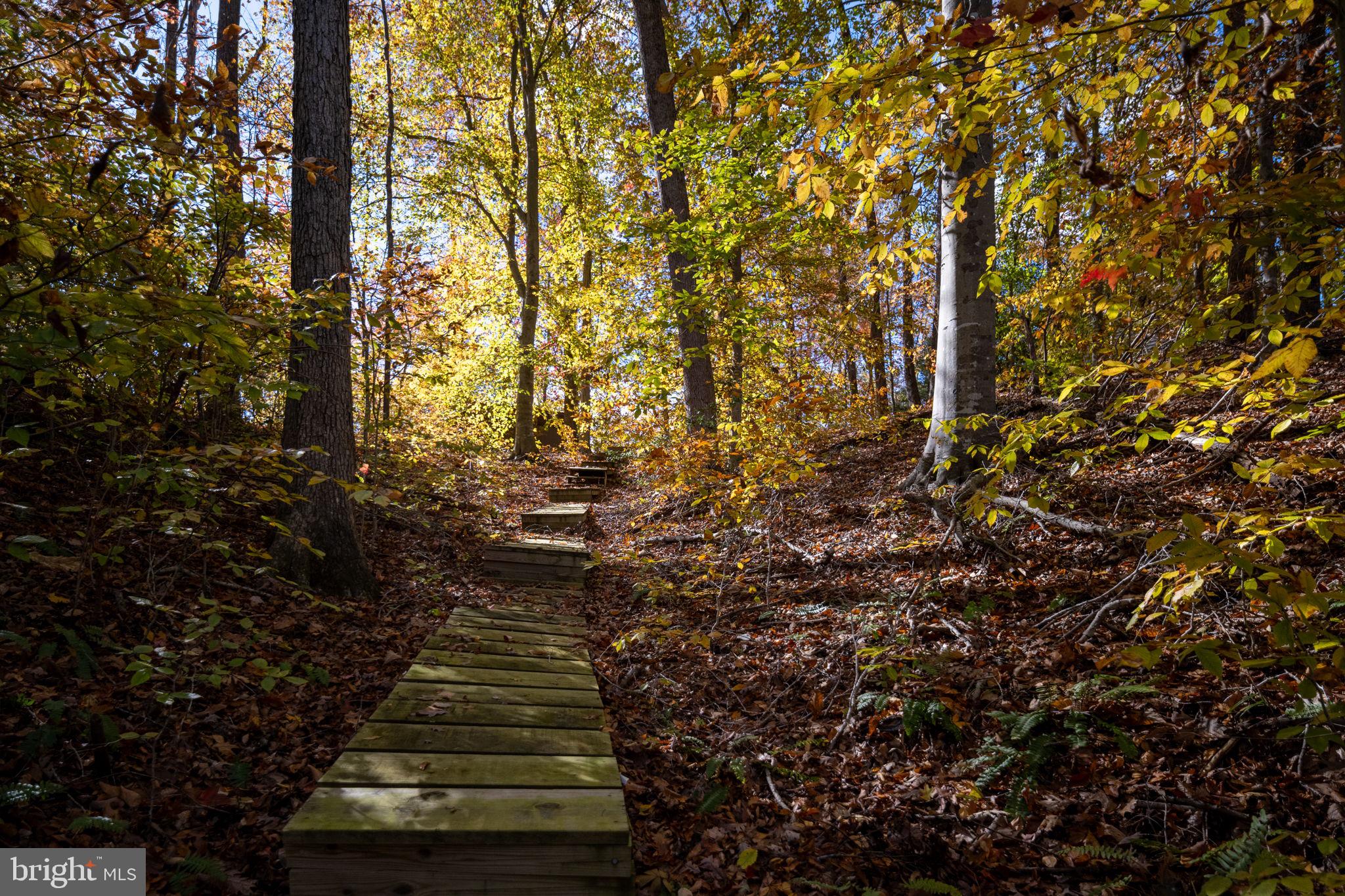 SMITH LAKE ESTATES - Residential