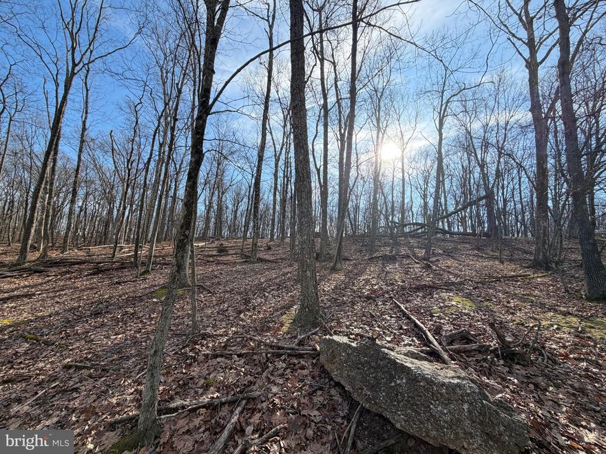 Looking to build in 2026 or beyond?  Secure your lot today!  Situated on a low traveled street with minimal homes, you'll have virtually no neighbors here other than the wildlife.  The adjoining lot 330 Whiteface is also for sale in a separate listing, allowing you to purchase both and build on 1.2 acres.  Whether you've been imagining building a second home or just waiting to build that forever home, WAIT NO MORE!  The Cove Village Community is situated in the foothills of the Poconos and only 1 1/2 hours to New York,  With easy access to I-81 your commute to Hazleton, Wilkes Barre, or Scranton is a breeze.  Bring your own builder and let's get started.   Another cost-saving perc of the community is having public water and sewer already in place and ready for you to connect through Aqua of Pa.   750 acres of unoccupied prime hunting, ATV, and snowmobile riding land surround the residential portion of Cove Village and is allocated only for the residents of the community and their guests!  Driving through the community, the peace and tranquility will envelop you.  At any given moment the deer, turkey, and birds will entertain you in your own backyard.   Homes within the community vary from rustic cabins and chalets to traditional ranch or two-story homes and even exquisite new construction or dreamy mountain log homes.  There really is something for everyone.  The approximately 278 acres of residential homes and lots are occupied by full-time residents, part-time vacation homes, and even some snowbird second homes.  Cove Village offers an abundance of amenities including a swimming pool, stocked fishing lake, a basketball court, tennis courts, a volleyball court, 2 playgrounds, a baseball field, ATV paths, hunting, a mini golf course, walking paths, and year-round Community events.  I can't forget to mention the beautiful lodge ideal for renting for family gatherings.   This lot and community just might be exactly what you've been looking for.  Air B and B are not permitted. Camping on vacant lots is not permitted.  Mobile homes are not permitted.  Modular homes are permitted. The minimum square footage when building is 1400 square feet.  The community maintains the roads and snow removal.  Trash collection is also provided.   An appointment is required to view due to the gated community.  Call to schedule your tour today!