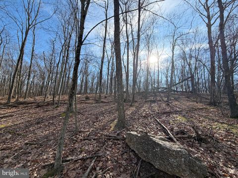 329 WHITEFACE CIRCLE ZION GROVE PA 17985