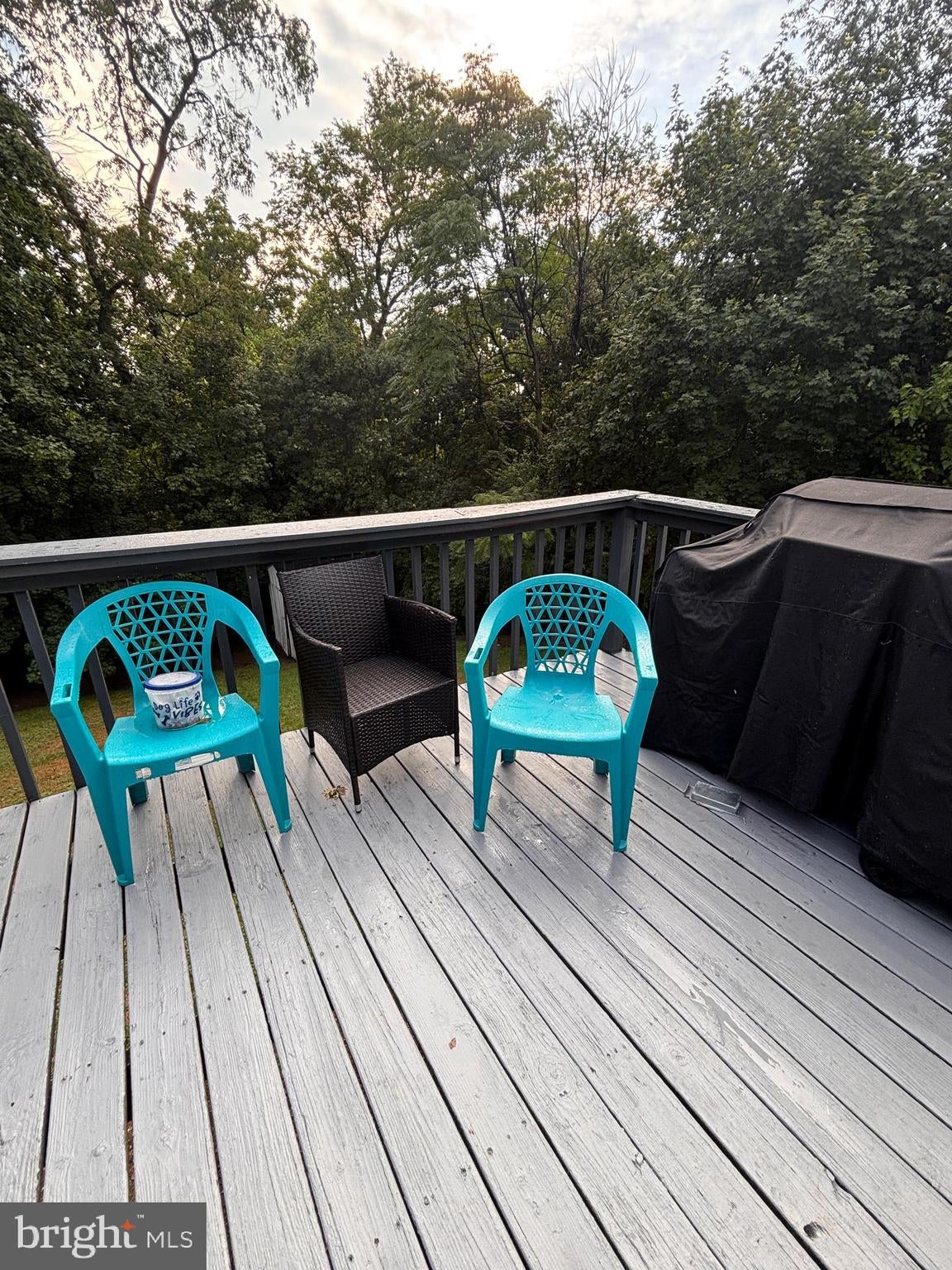 8 E PEARL DRIVE