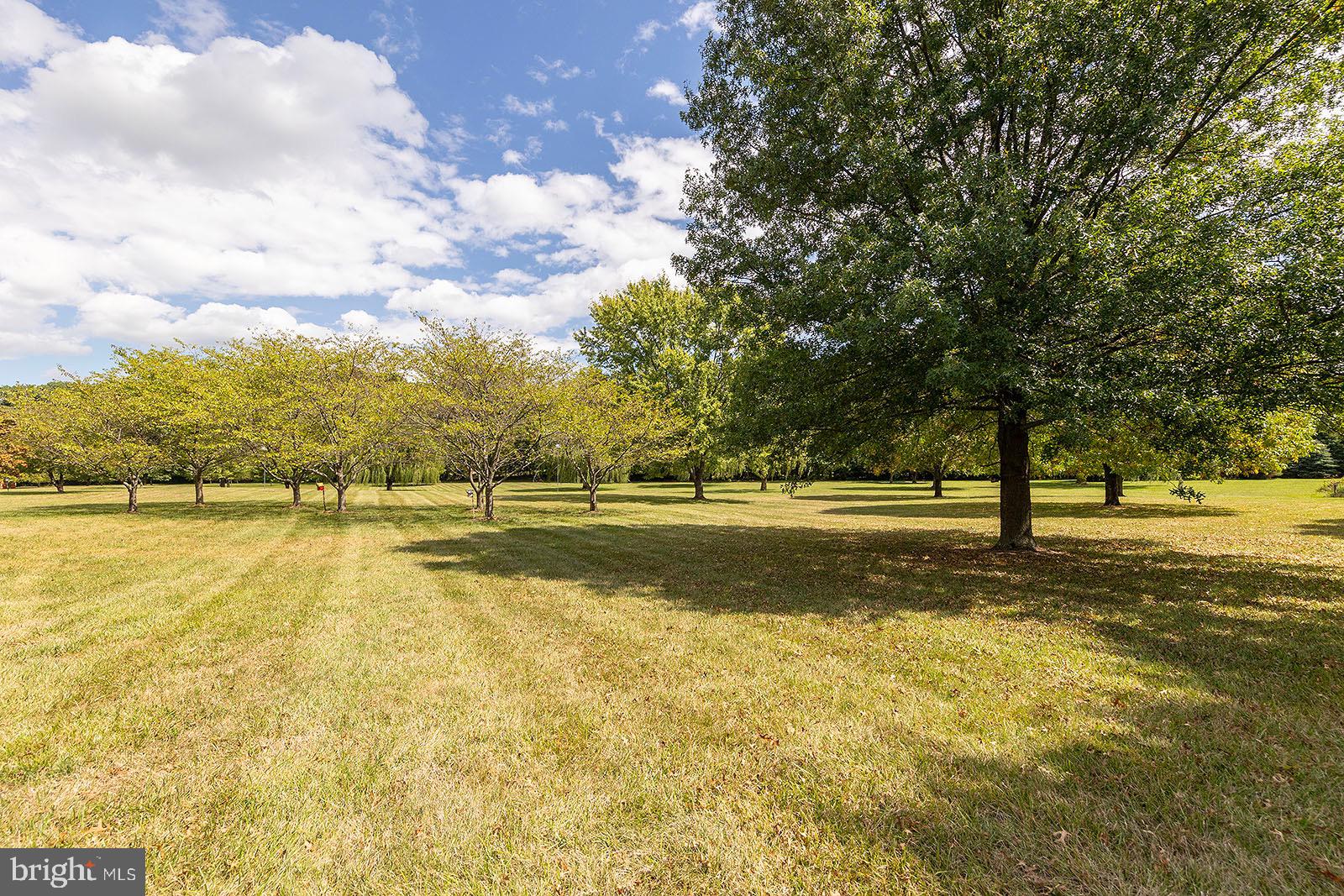 MCGUIRE HILLS - Residential