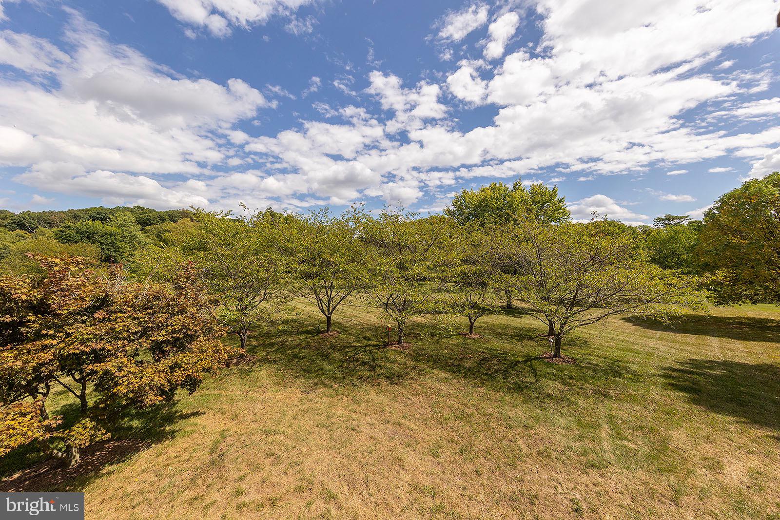 MCGUIRE HILLS - Residential