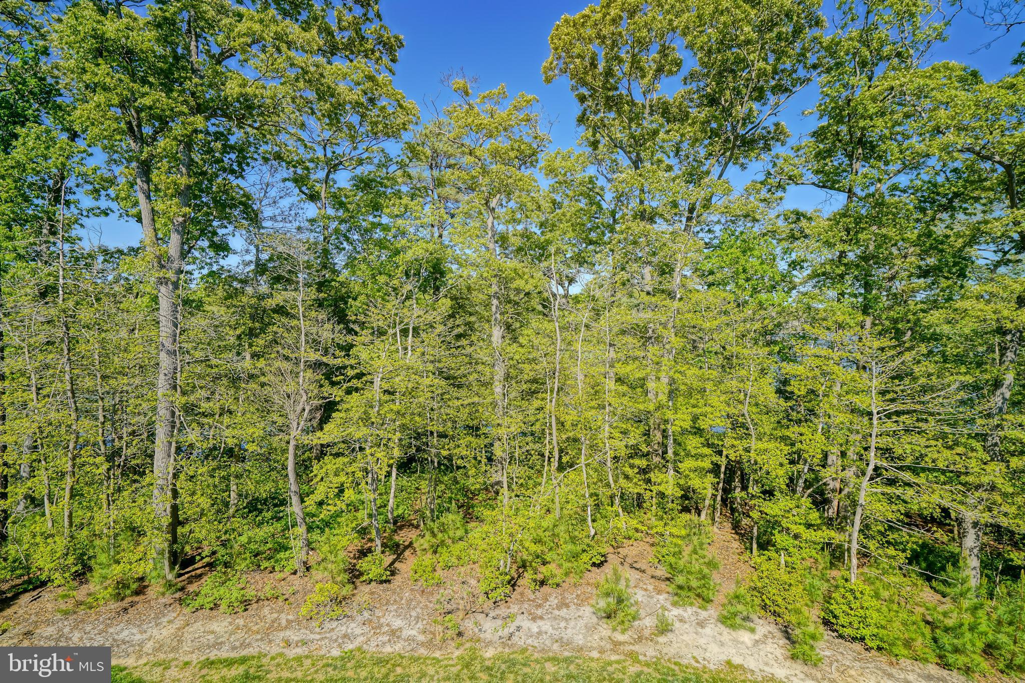 TIDEWATER LANDING - Residential