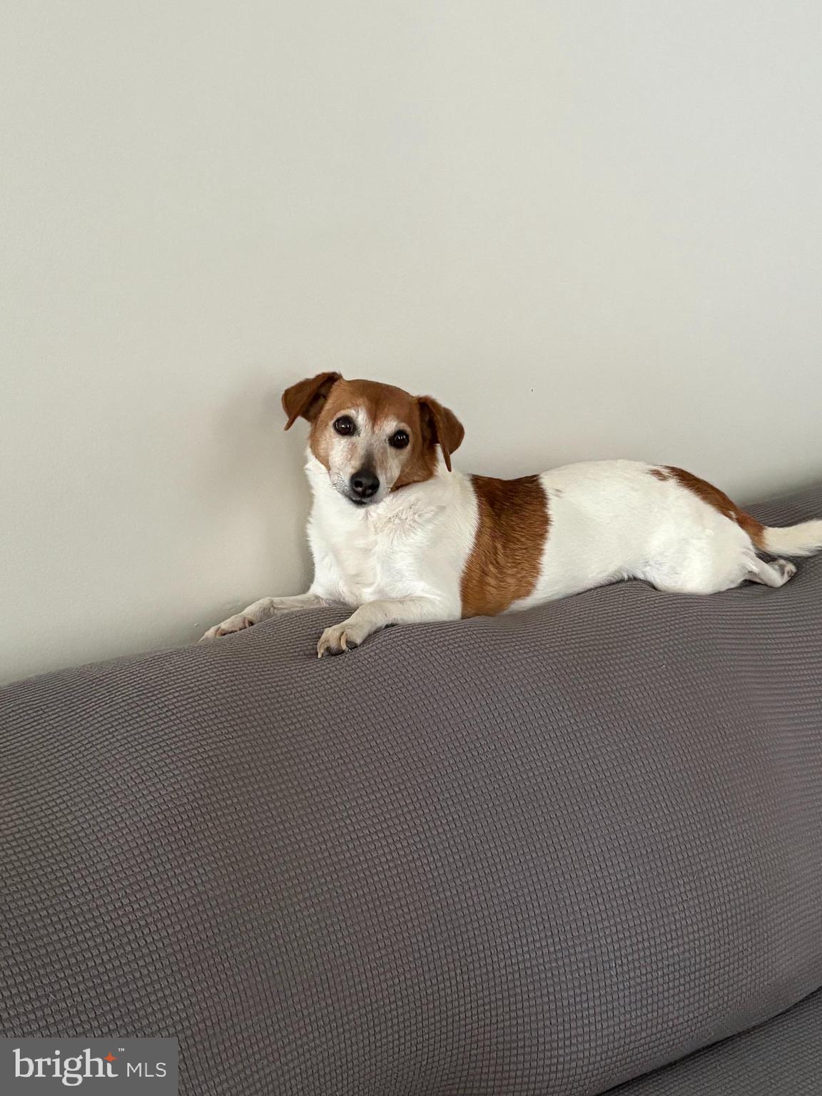 KNIGHTS LANDING - Residential